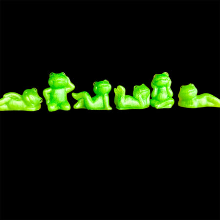 Mini Frog Family