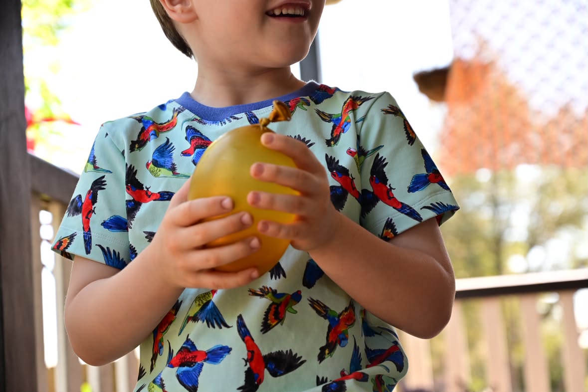 Rainbow birds organic cotton tee shirt 2026-27