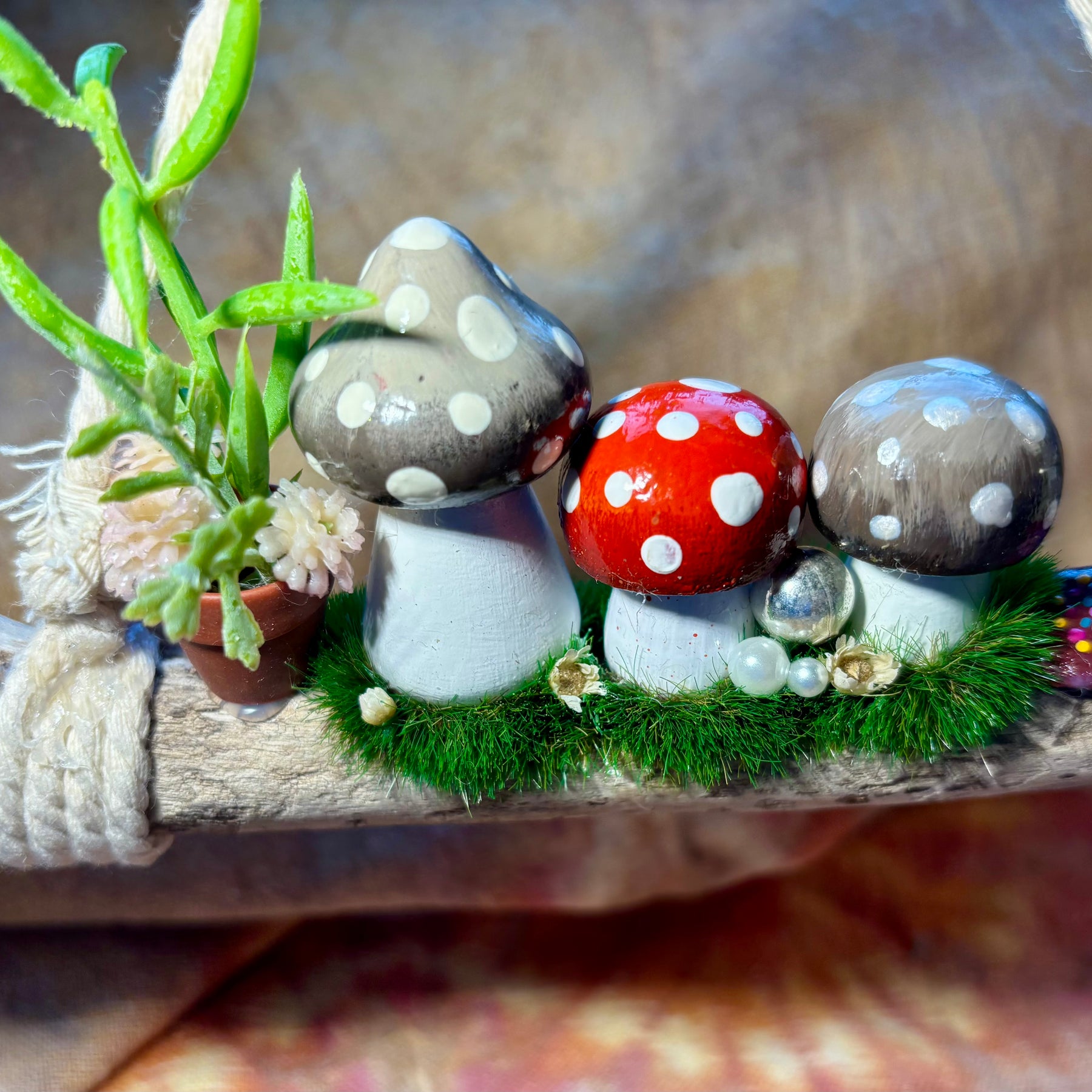 Driftwood hanging fairy garden