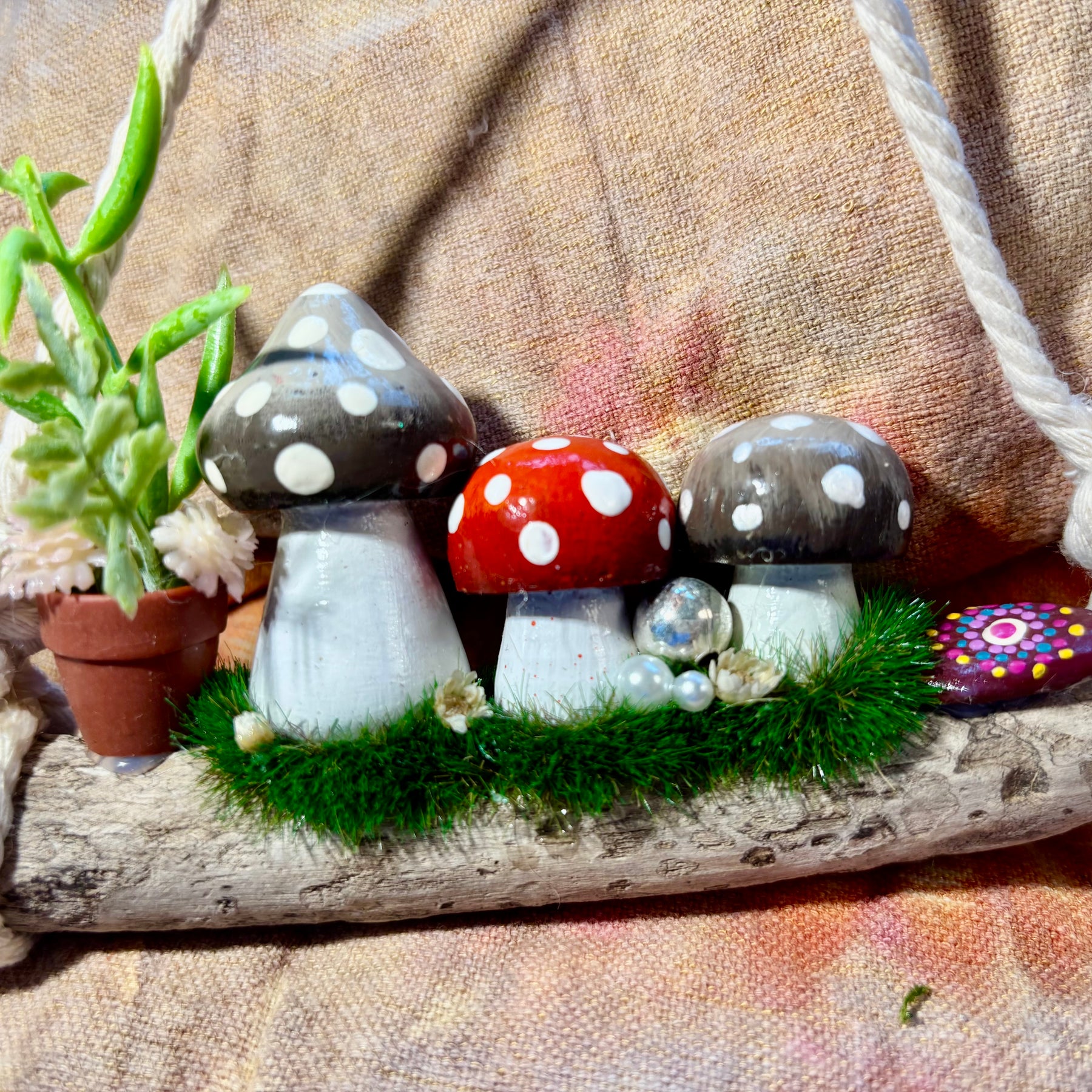 Driftwood hanging fairy garden