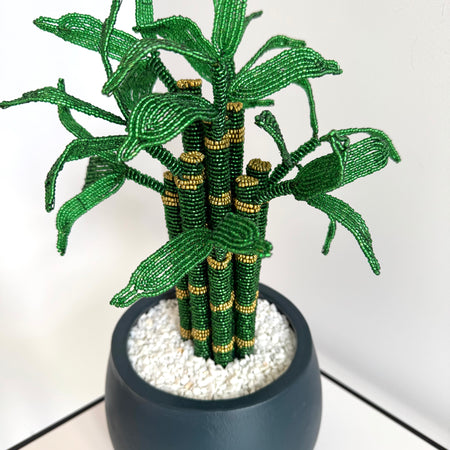 French-beaded Lucky Bamboo