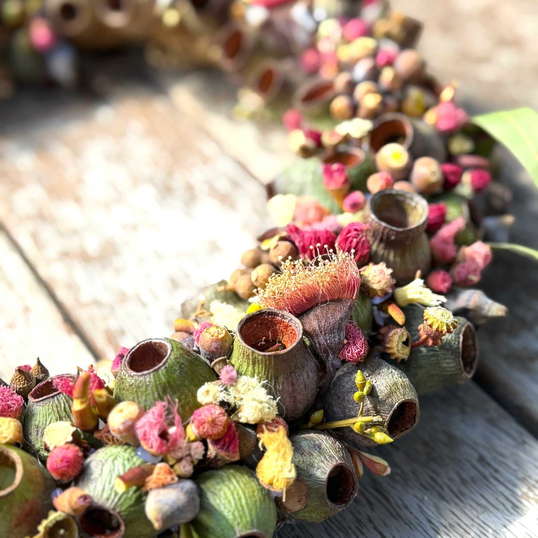 Australian Gumnut Wreath | Handmade Native Floral Wreath | Dried Eucalyptus & Gumnut Decor | Rustic Botanical Door Wreath | bushland Jewels