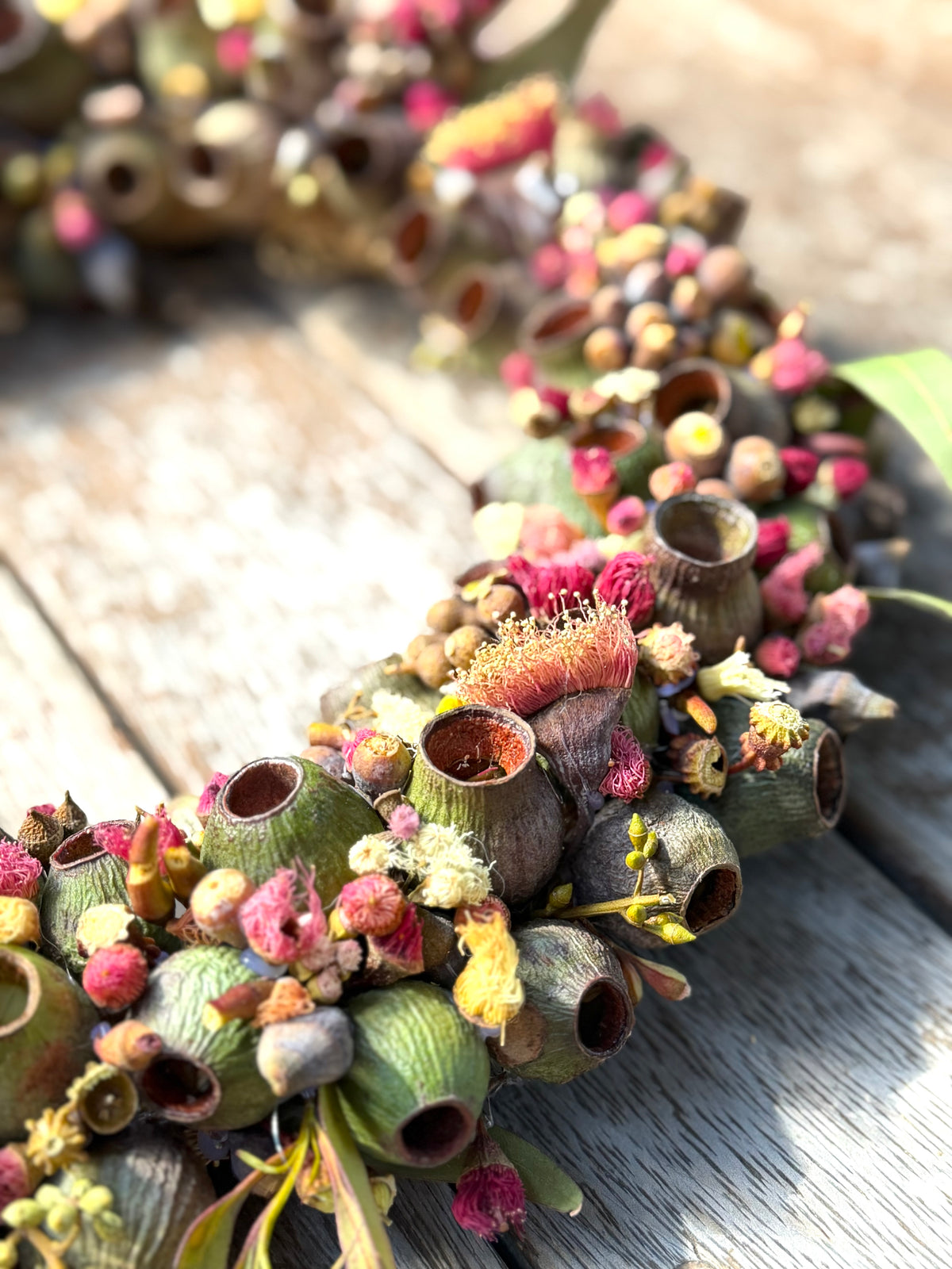 Australian Gumnut Wreath | Handmade Native Floral Wreath | Dried Eucalyptus & Gumnut Decor | Rustic Botanical Door Wreath | bushland Jewels
