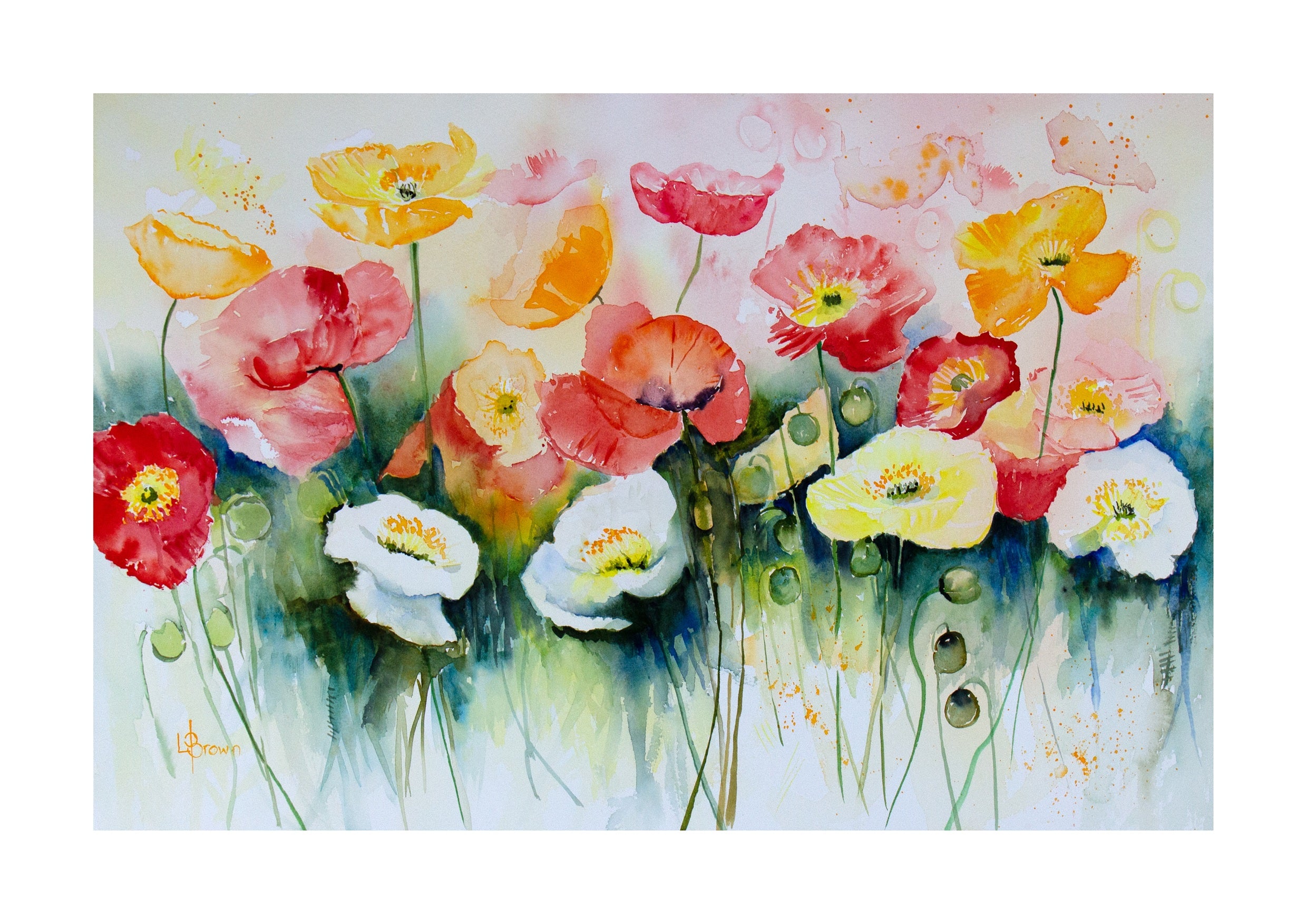 Colourful Poppies A3 Fine Art Print