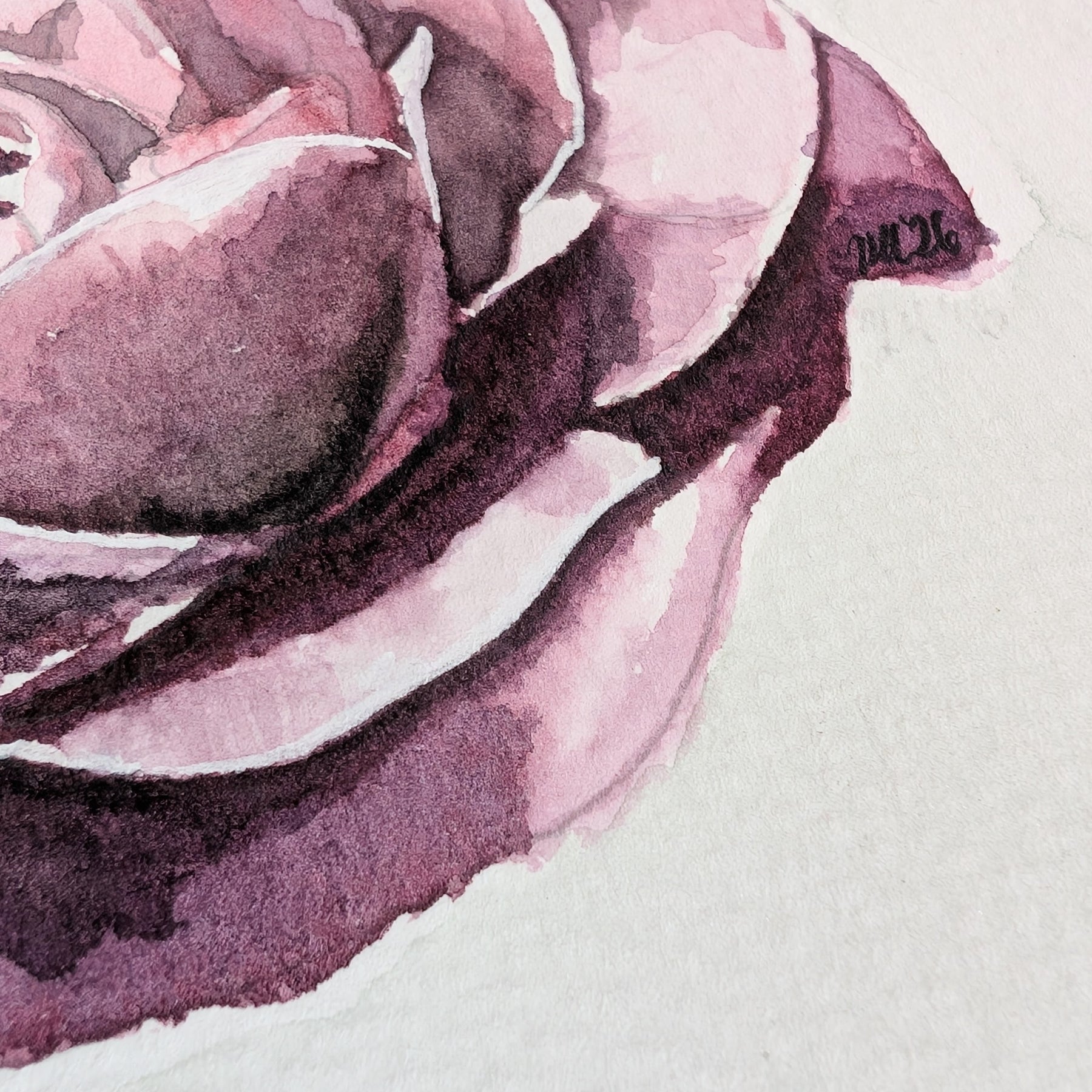 June Rose | Original Watercolour Painting | Botanical Wall Art