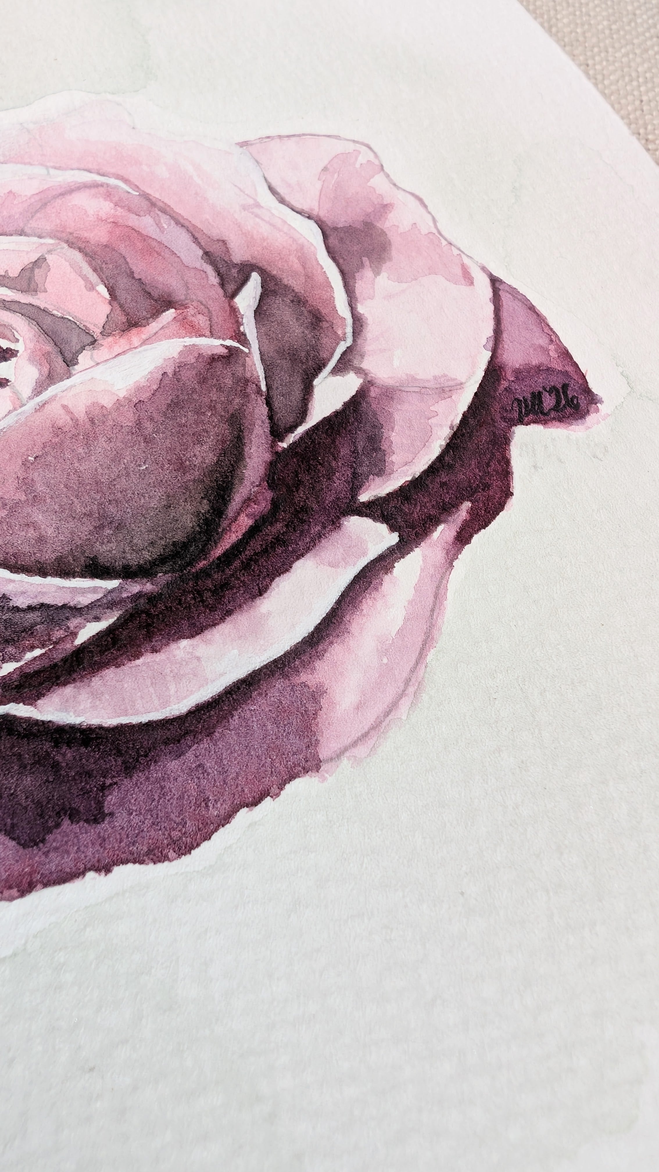 June Rose | Original Watercolour Painting | Botanical Wall Art