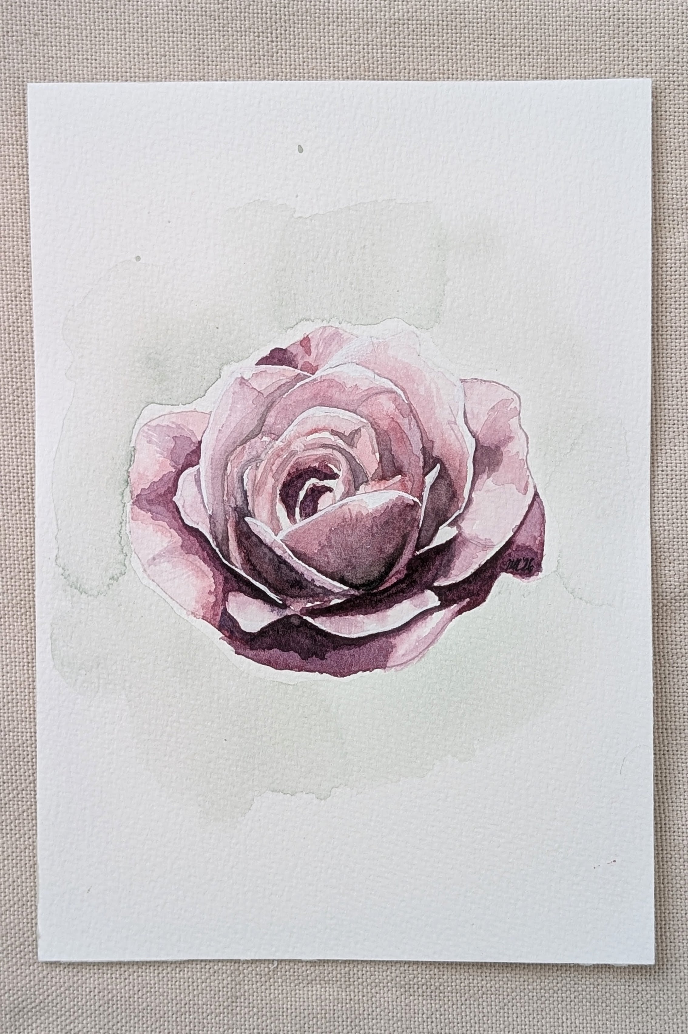 June Rose | Original Watercolour Painting | Botanical Wall Art
