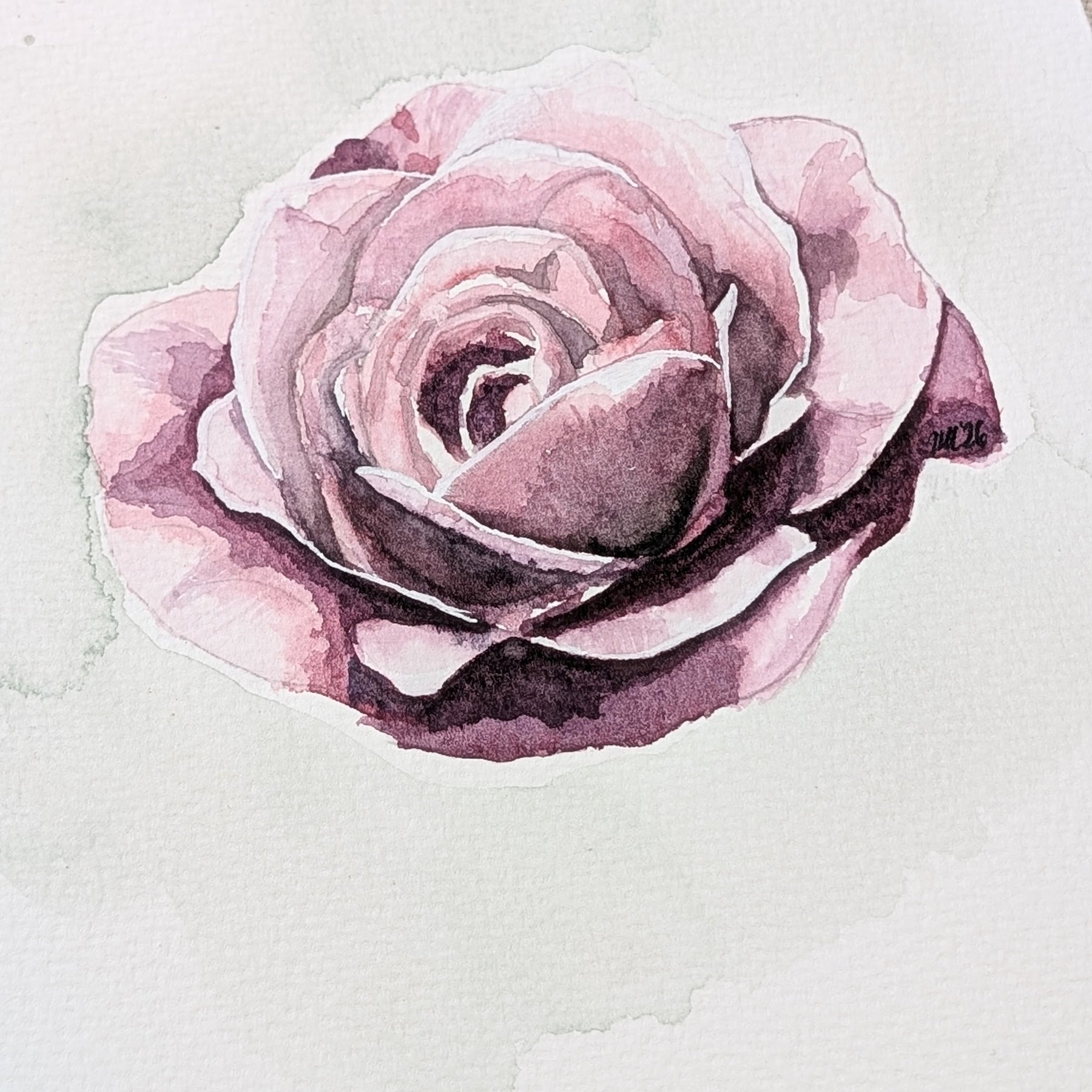 June Rose | Original Watercolour Painting | Botanical Wall Art
