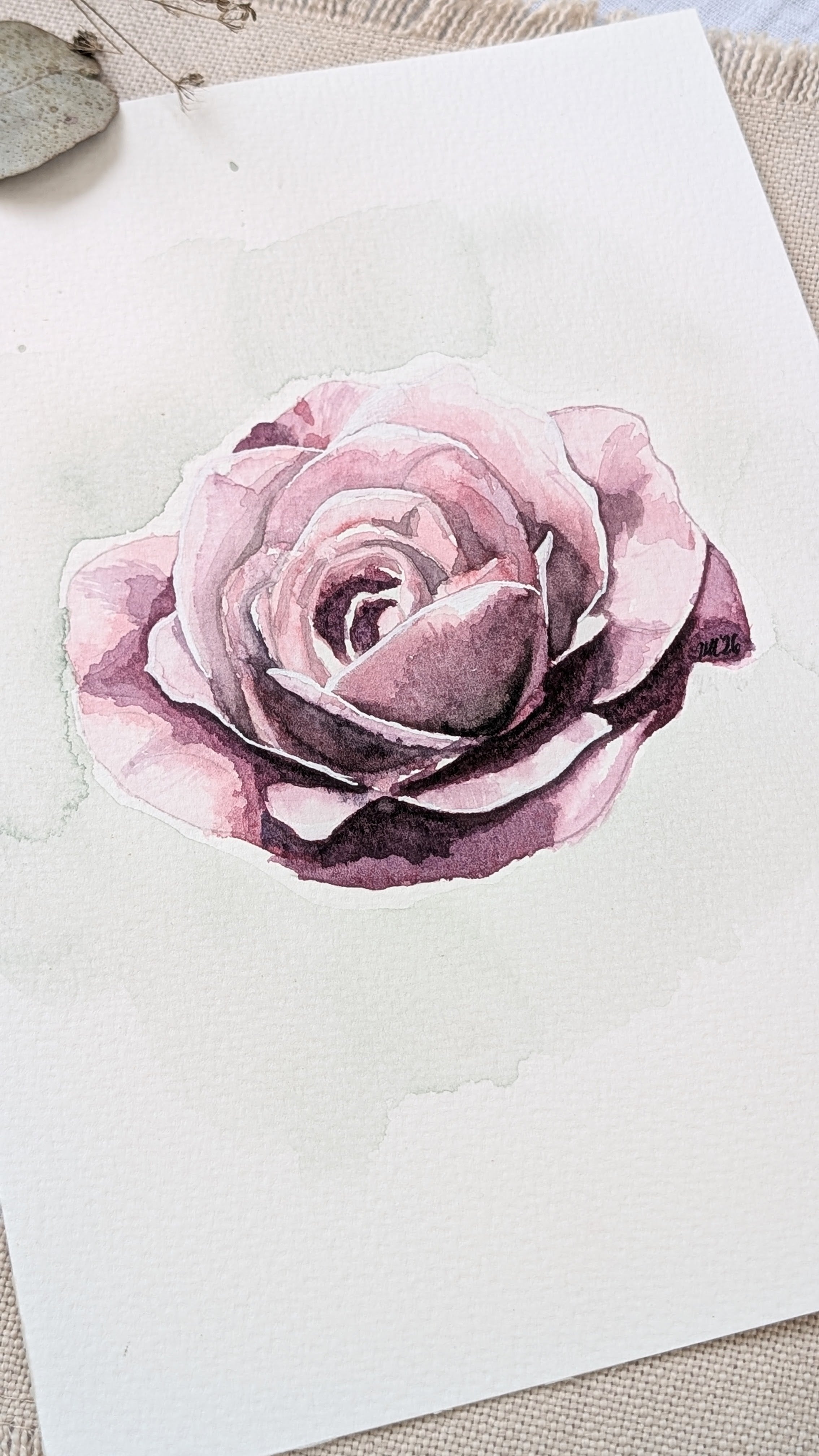 June Rose | Original Watercolour Painting | Botanical Wall Art