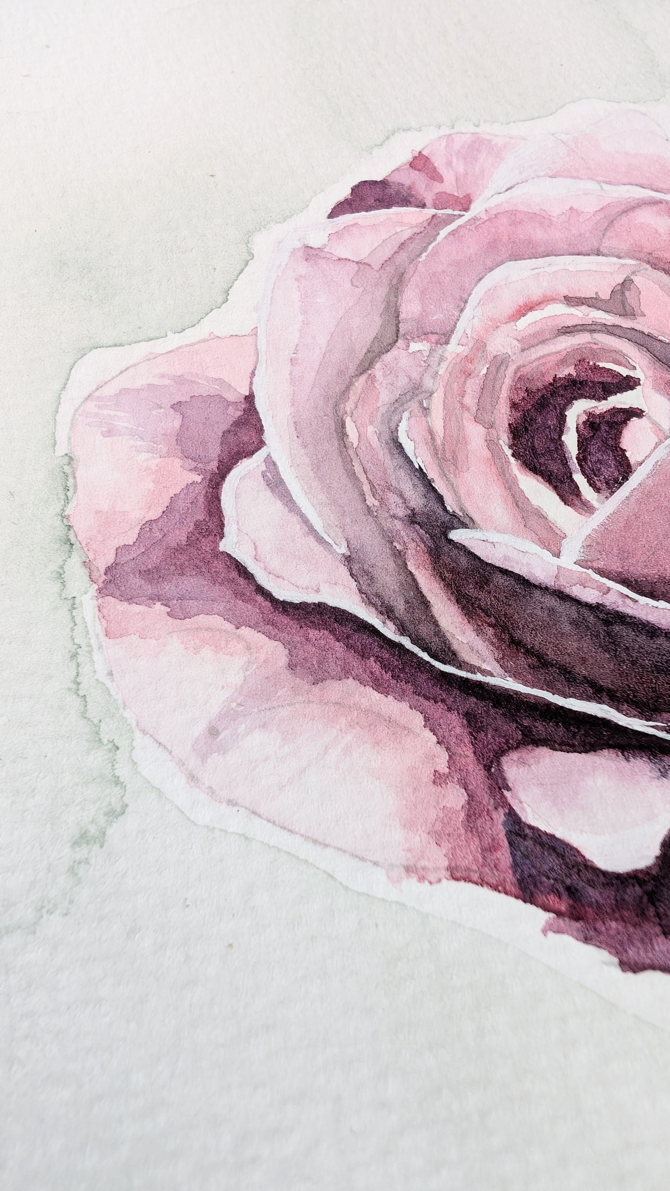 June Rose | Original Watercolour Painting | Botanical Wall Art