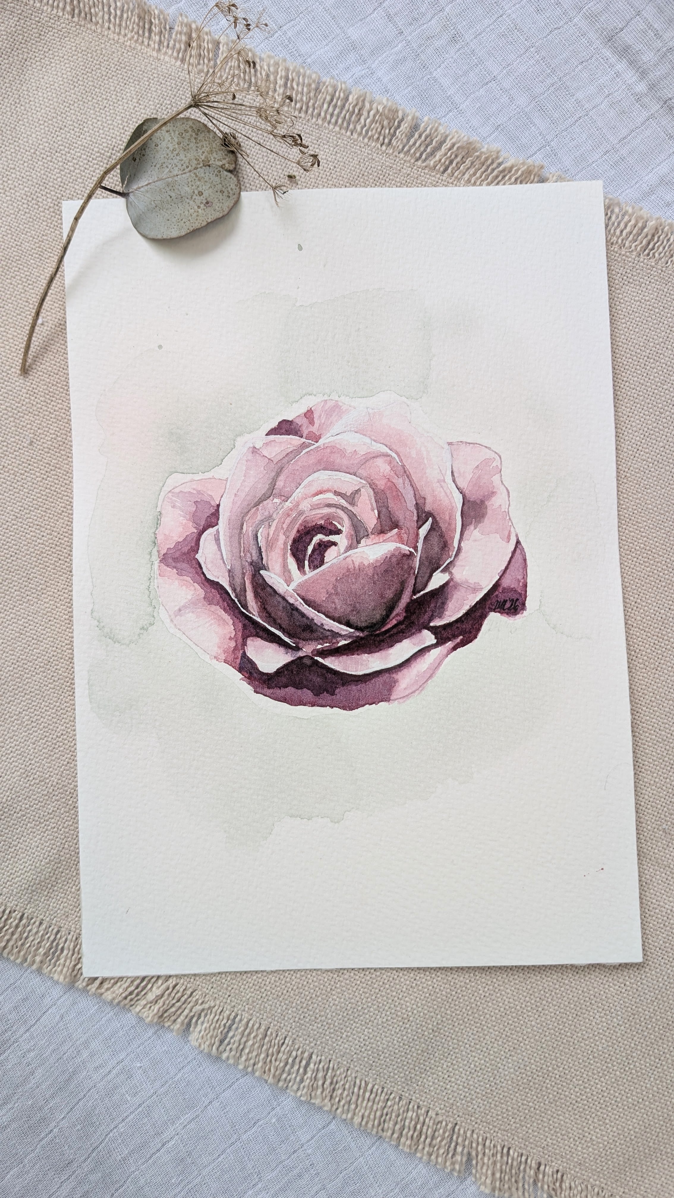 June Rose | Original Watercolour Painting | Botanical Wall Art
