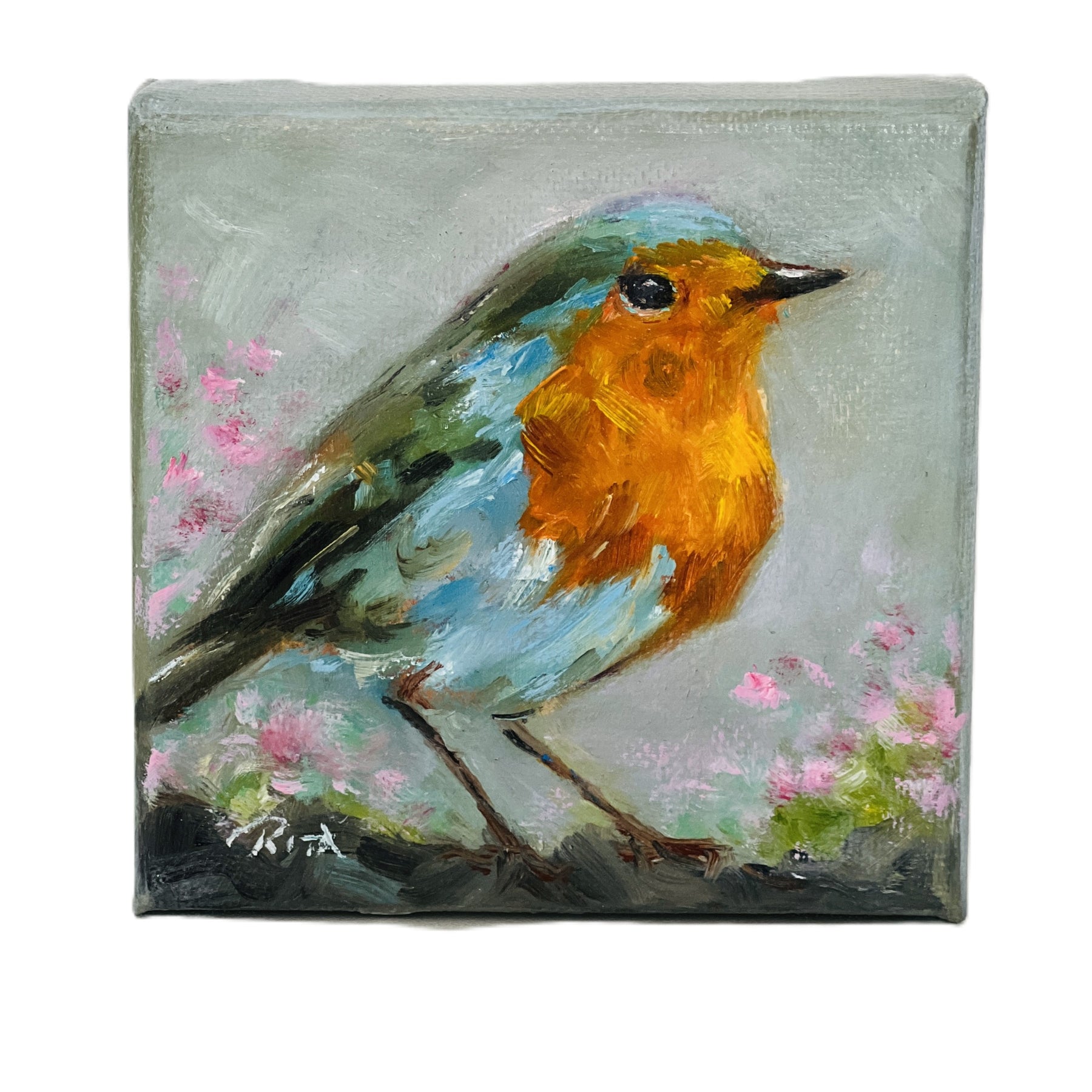 Original Bird European Robin Mini Oil Painting