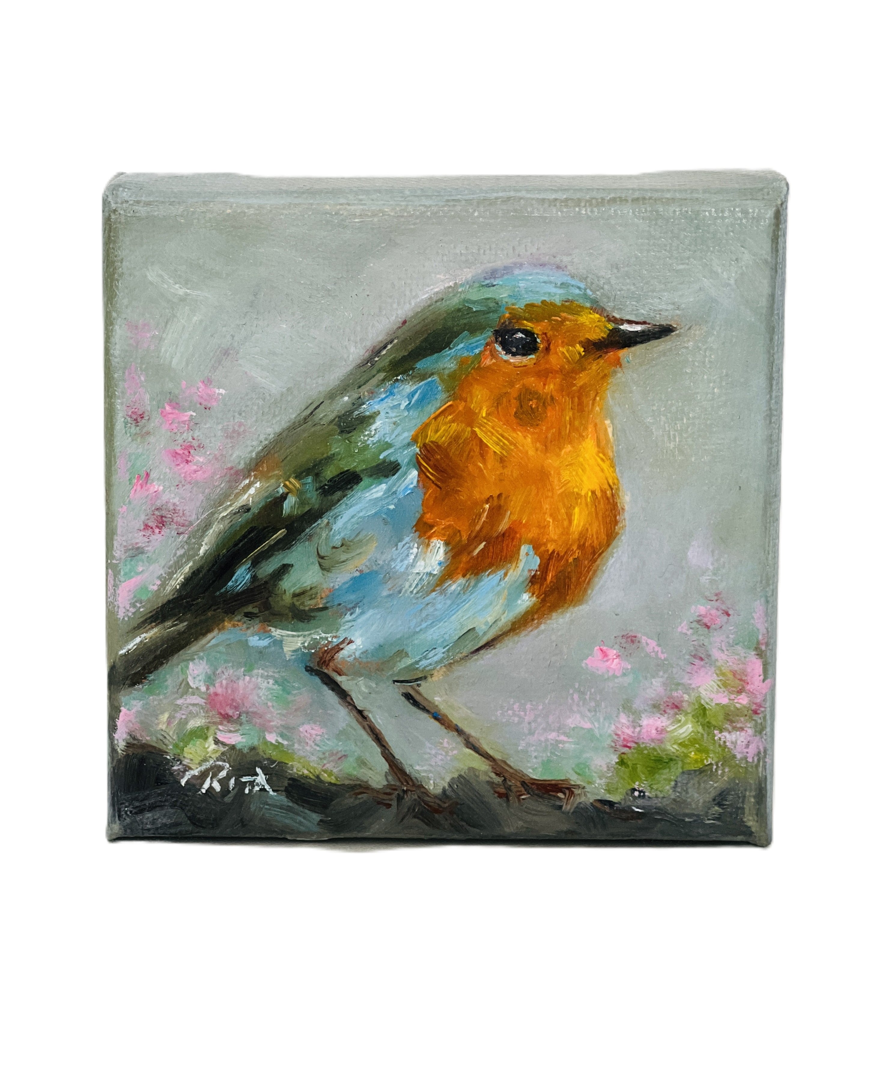 Original Bird European Robin Mini Oil Painting