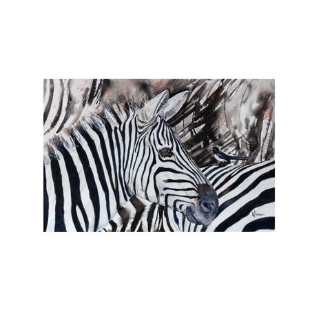 Zebra and Willy Wagtail A3 Fine Art Print