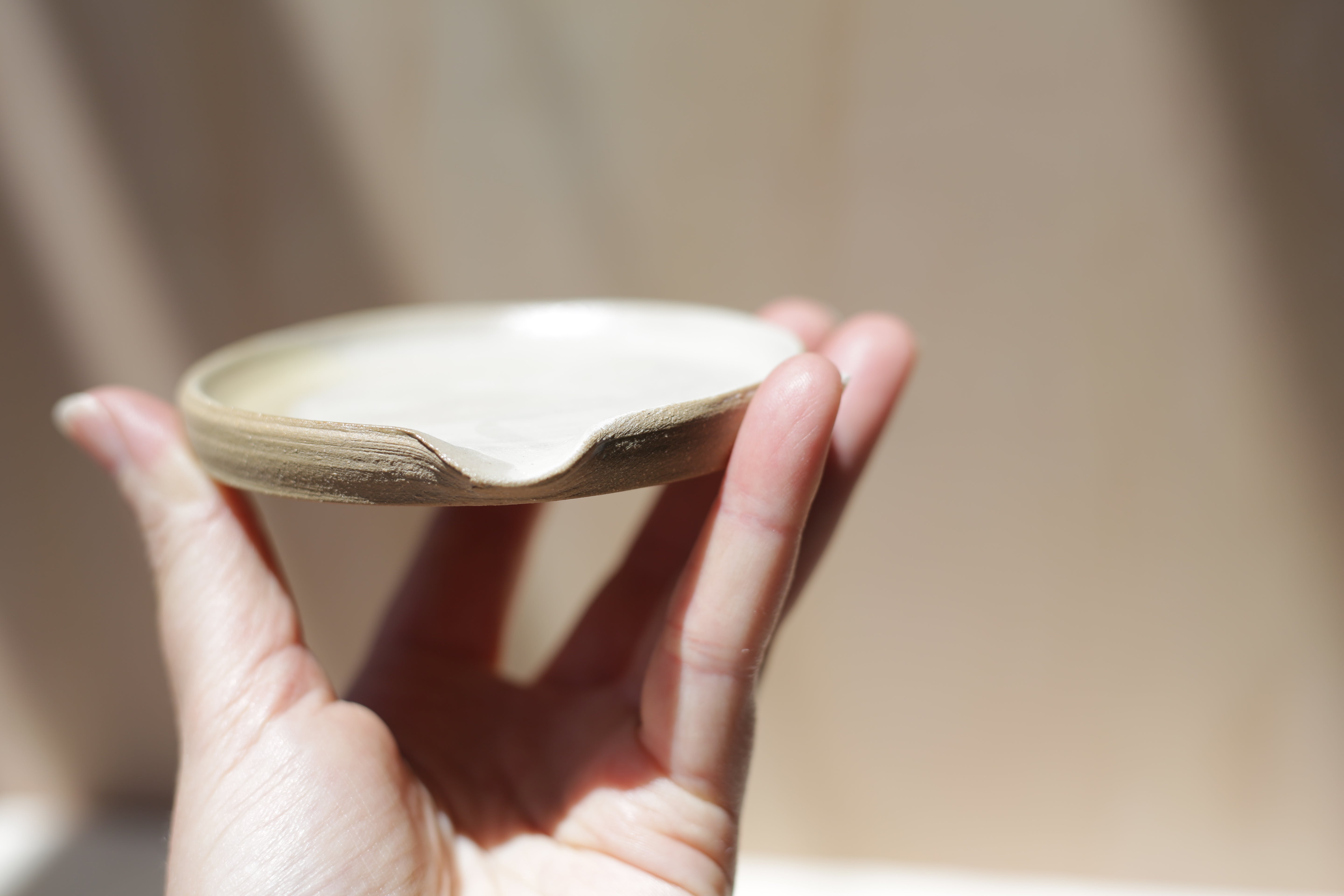 Desert Spoon Rest