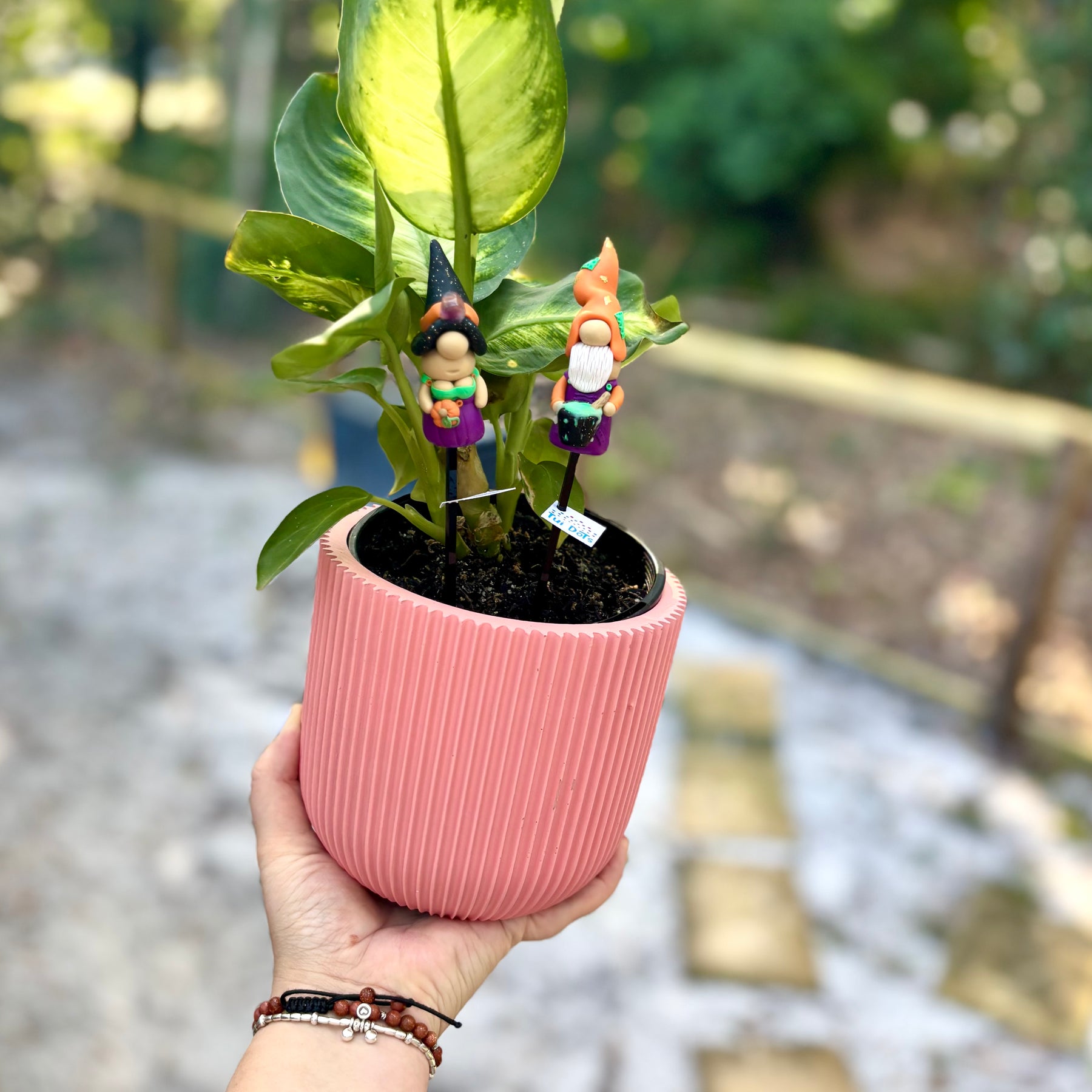 Halloween Tiny Gnomes - Spooky Couple