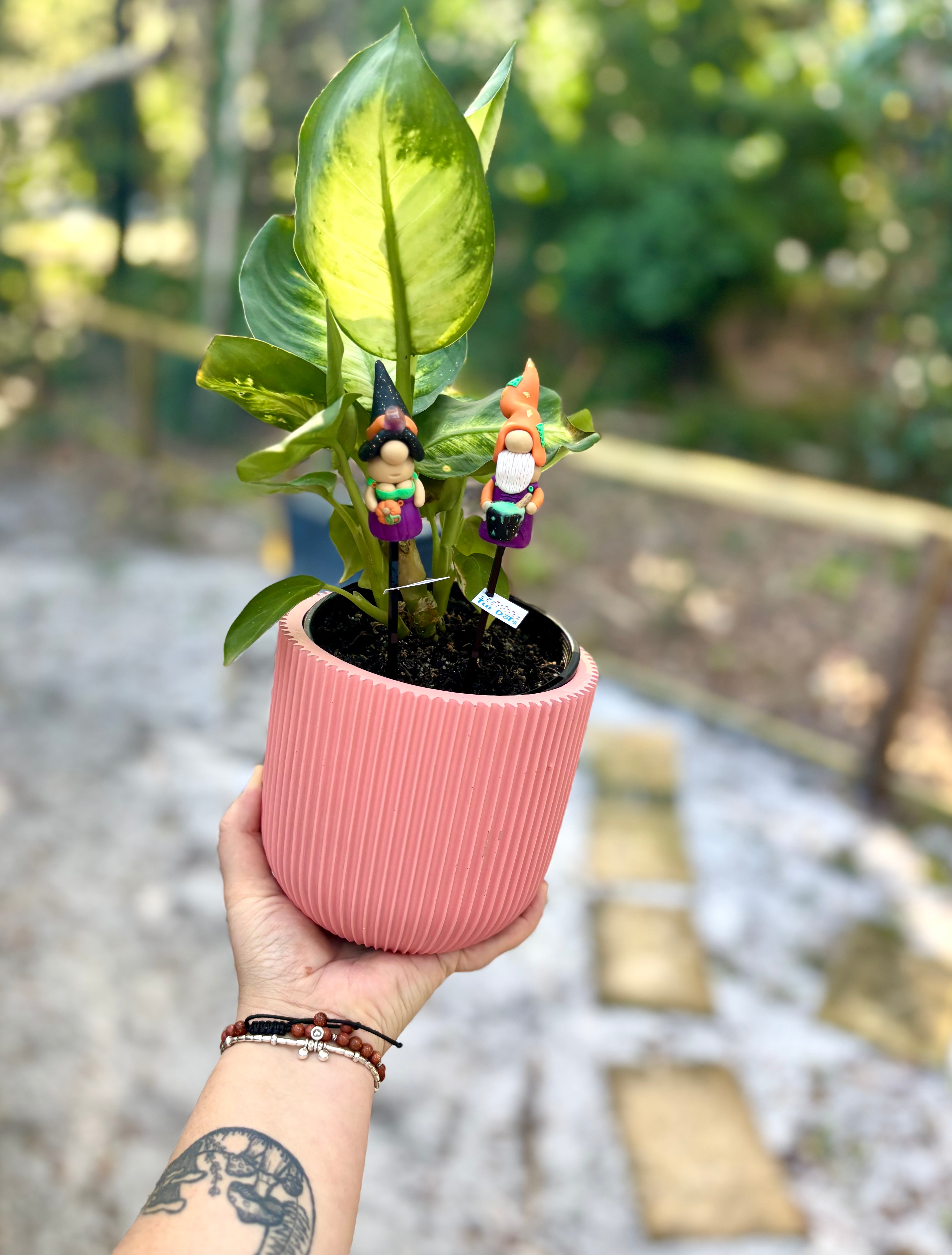 Halloween Tiny Gnomes - Spooky Couple