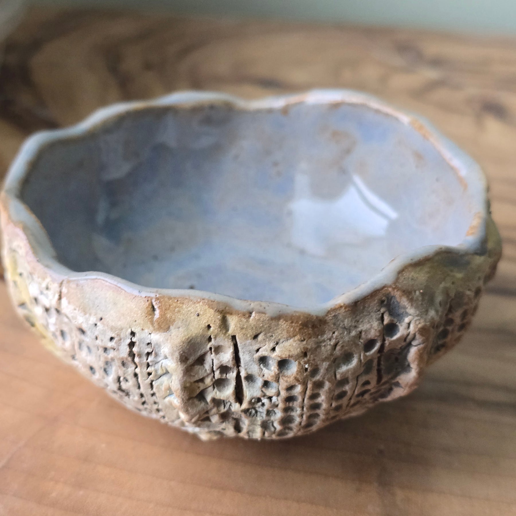Little Sea Urchin bowl