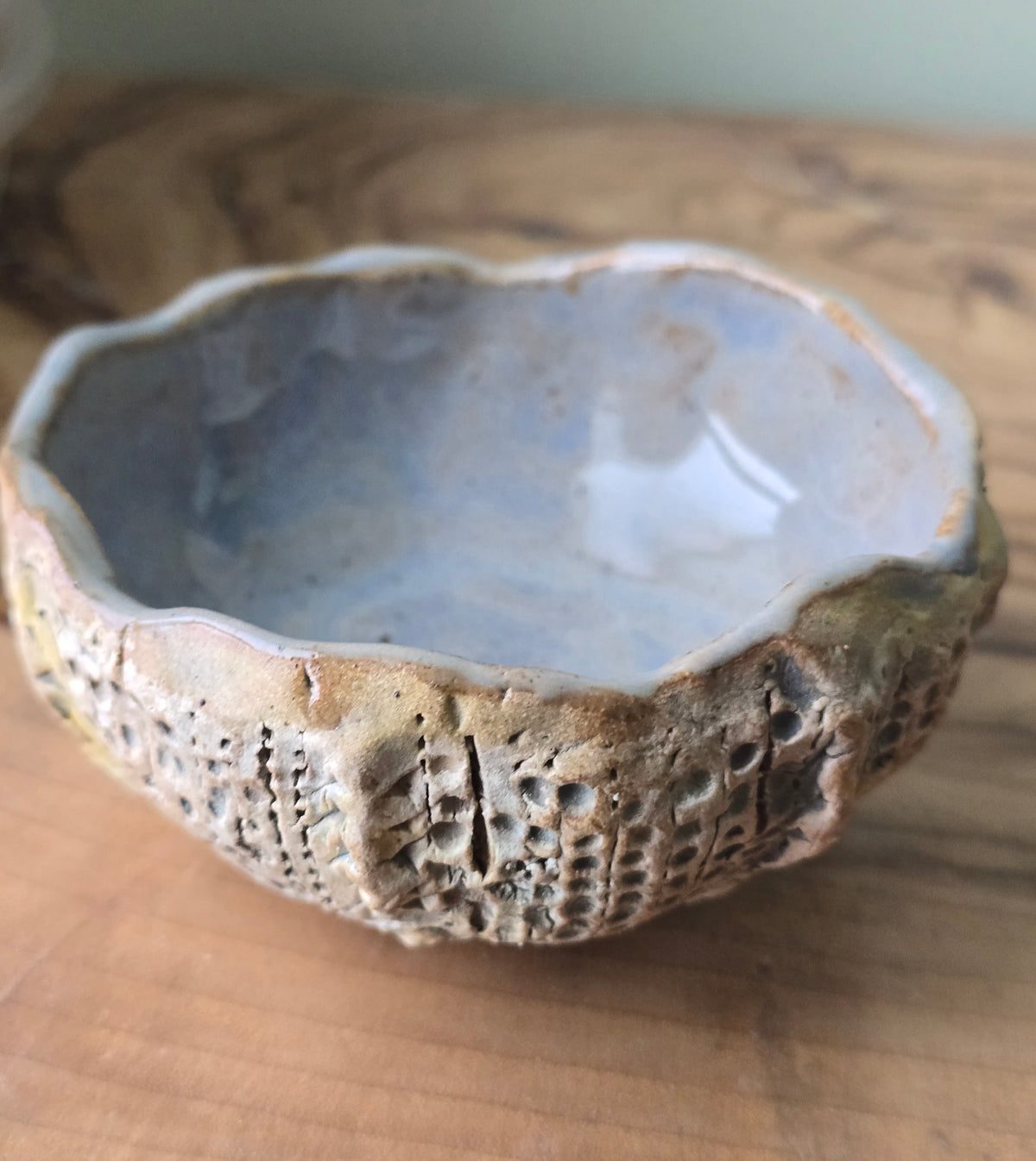 Little Sea Urchin bowl