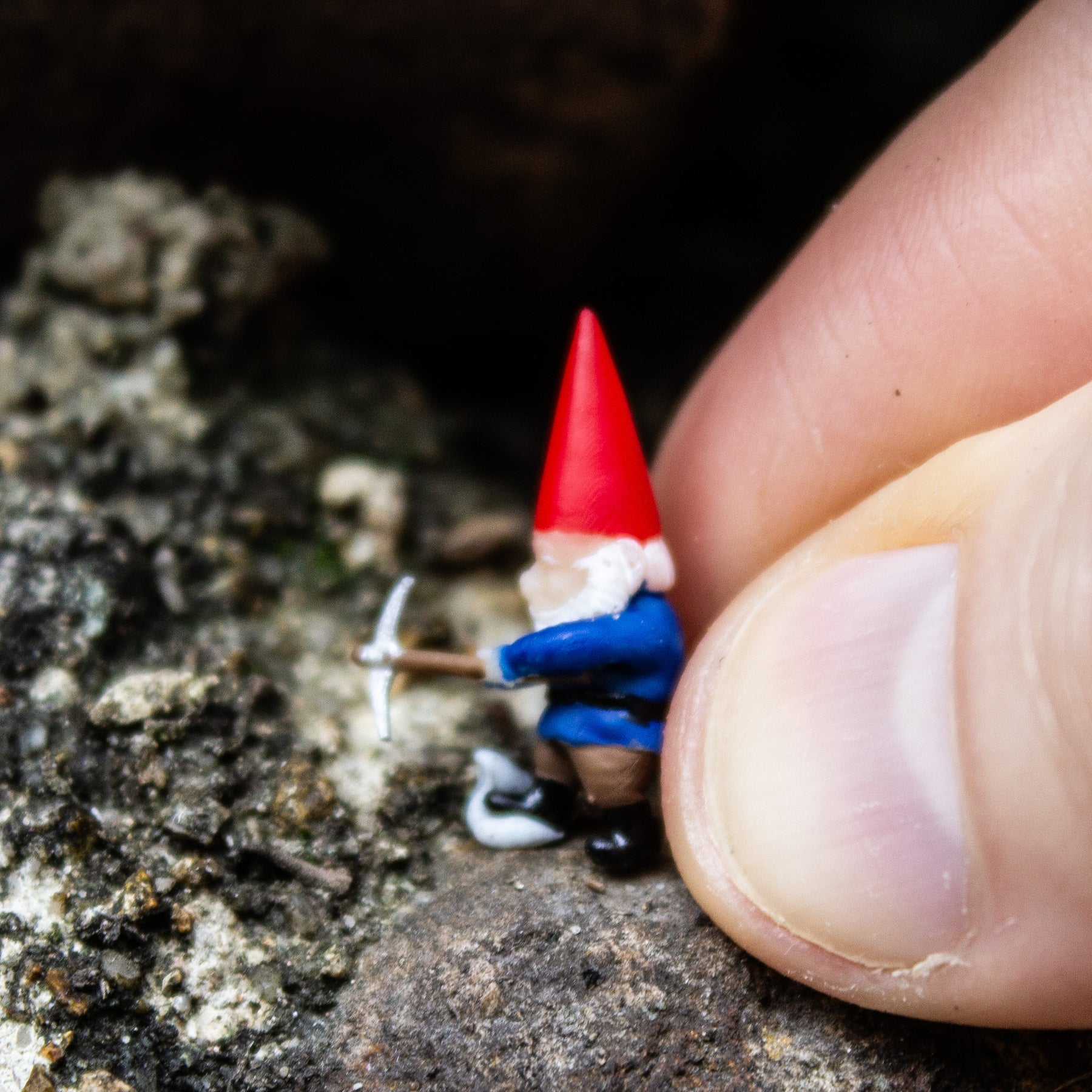 Tiny Gnome; The Stonebreaker