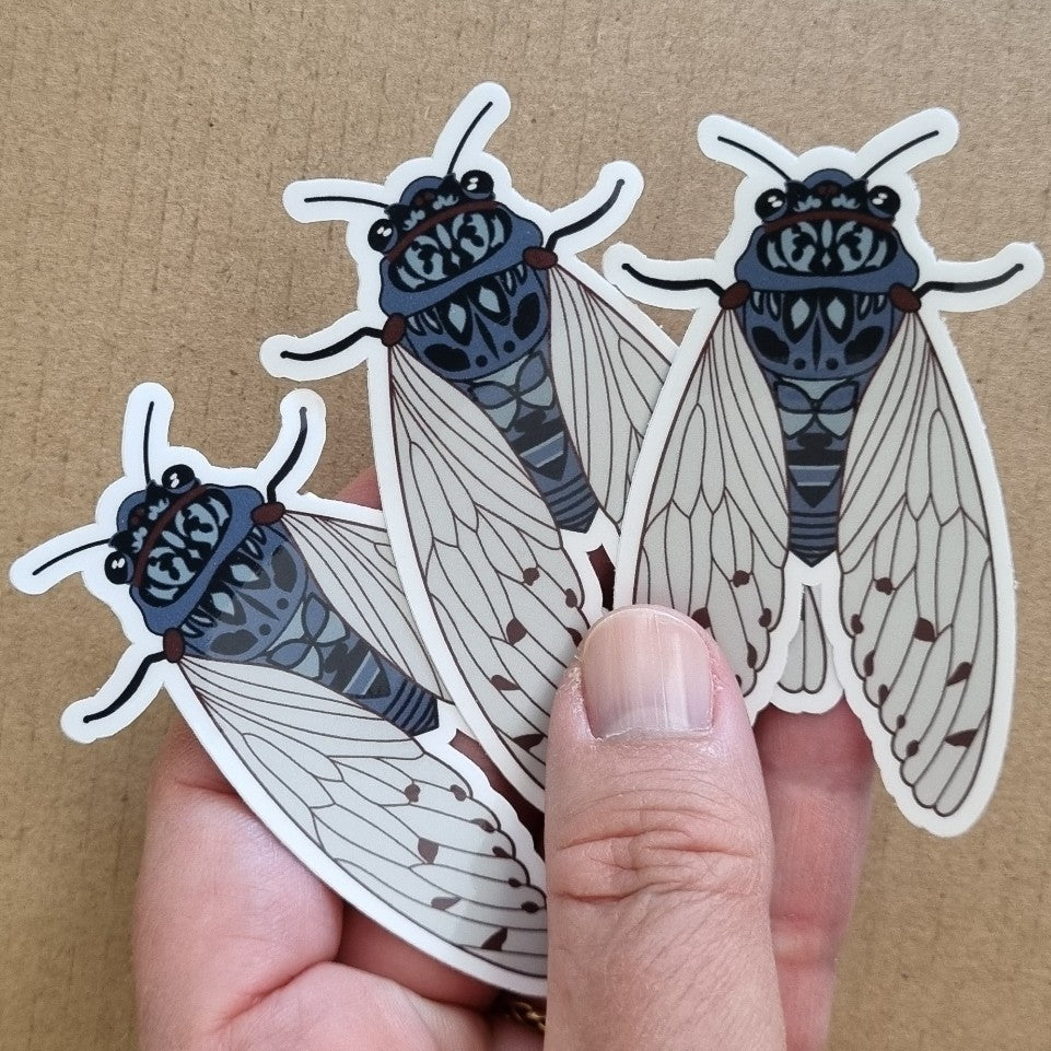 Dark Blue Cicada Bug Insect Sticker