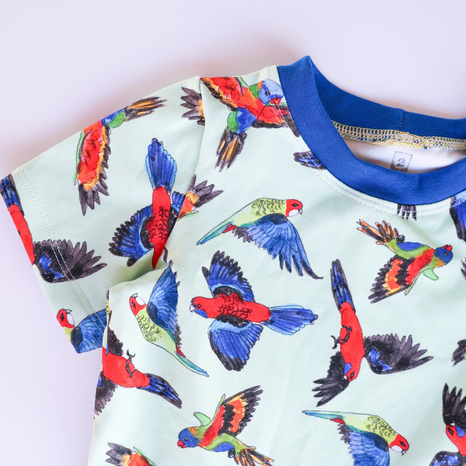 Rainbow birds organic cotton dress 2026-27