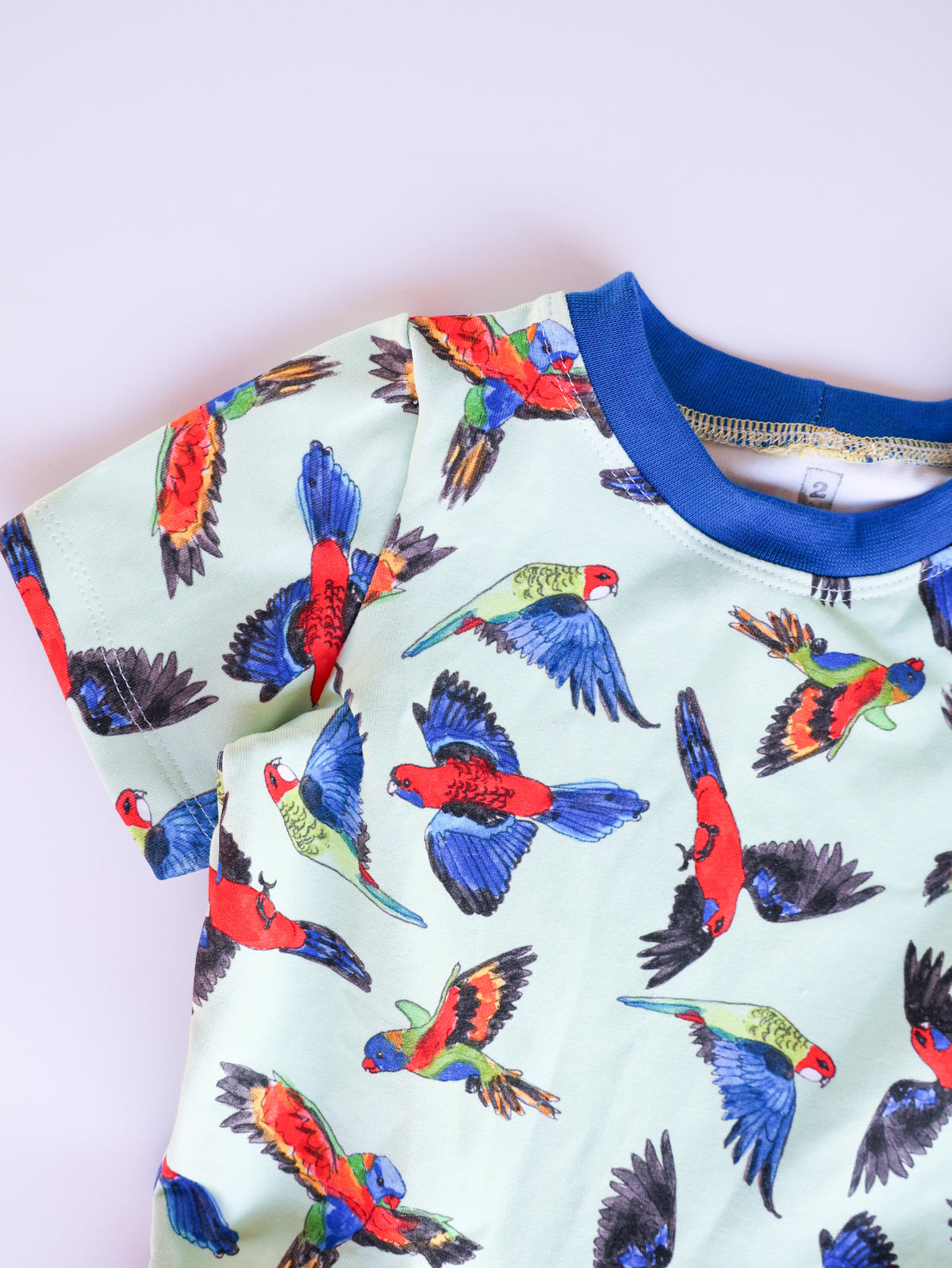 Rainbow birds organic cotton dress 2026-27