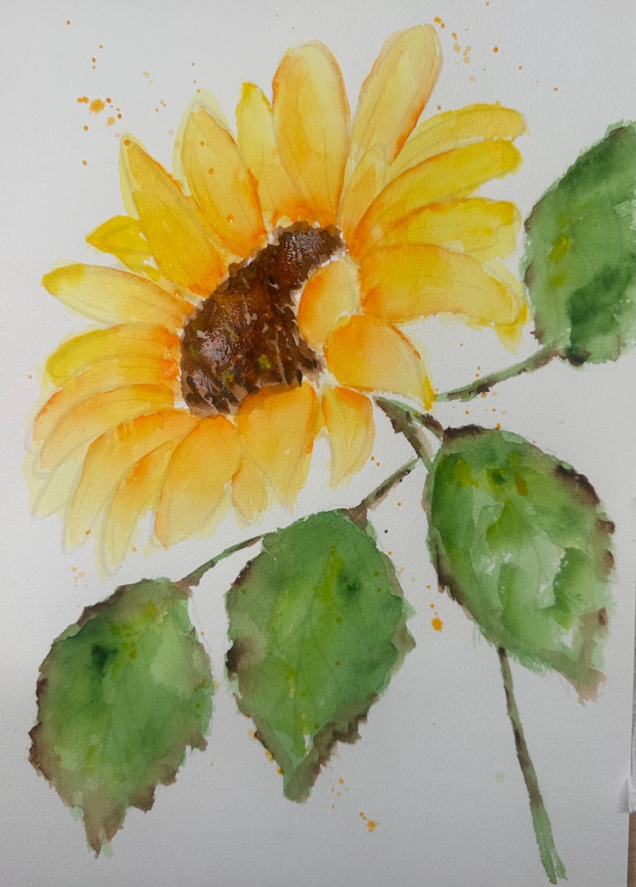 Watercolour Painting Kit ~ Sunflower