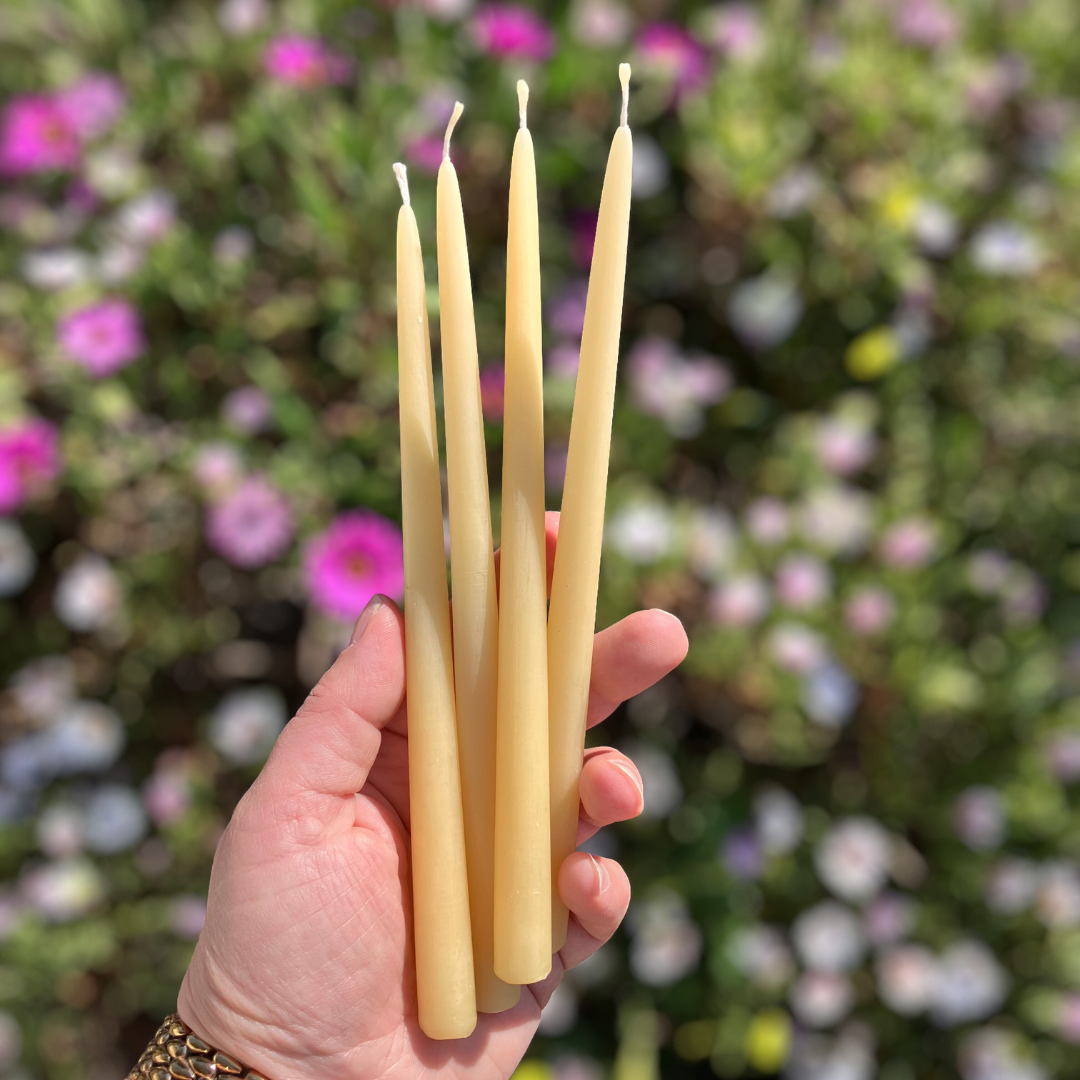 Slim Tall Beeswax Taper Candles | Romantic Dinner by Candlelight