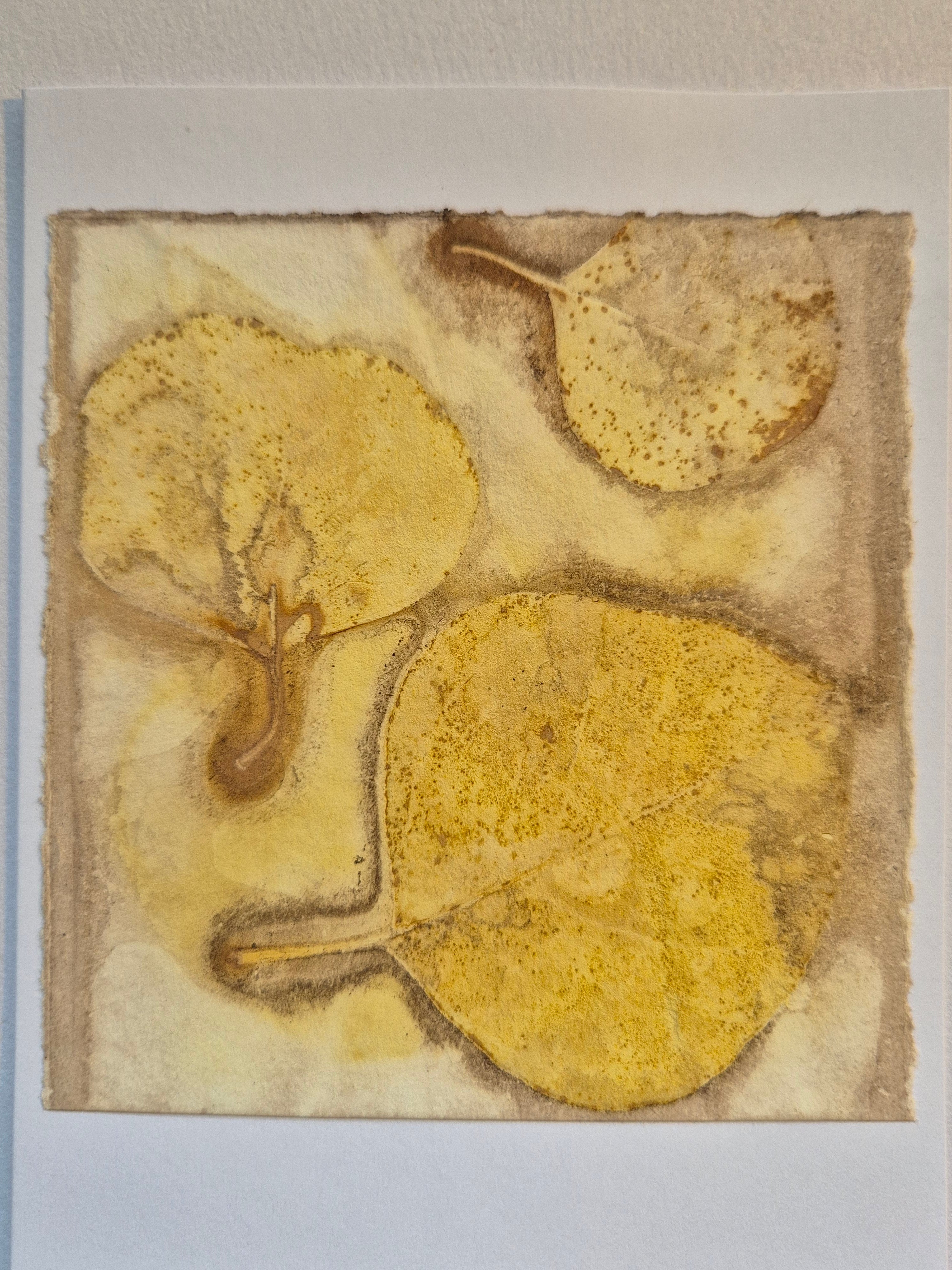 Card ecoprinted original golden leaves