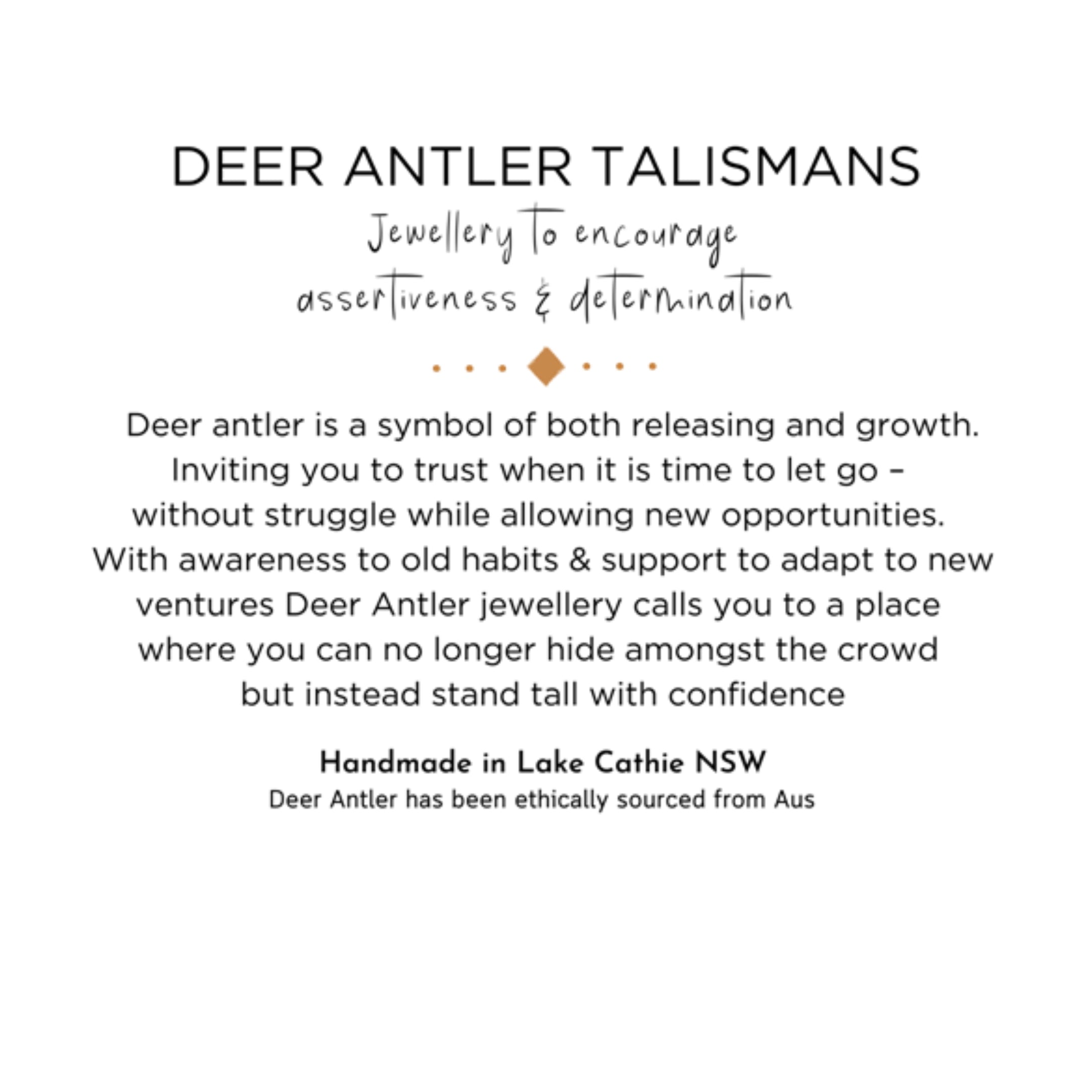 •| AMETHYST | DEER ANTLER |• natural crystal necklace talisman