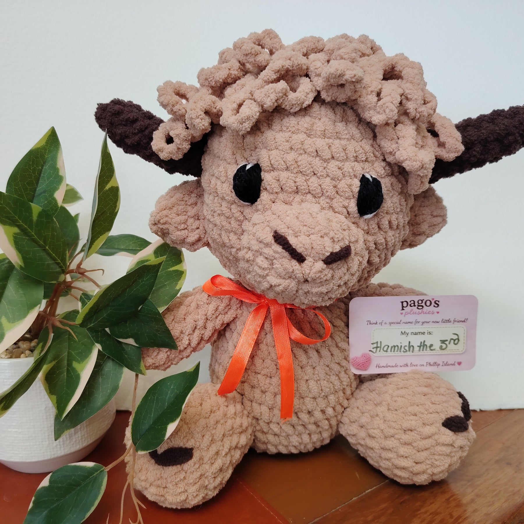 Hamish 3rd Highland Cow