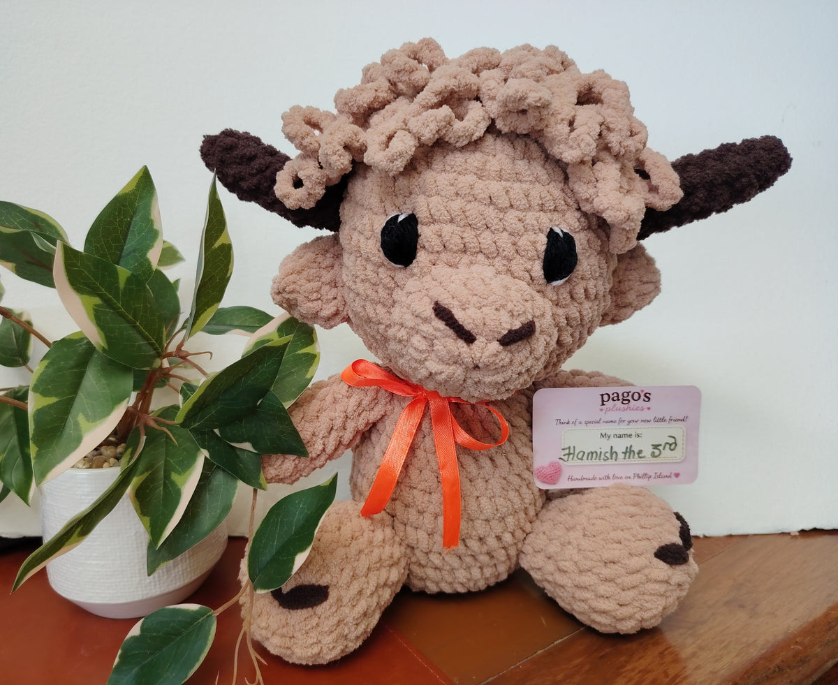Hamish 3rd Highland Cow