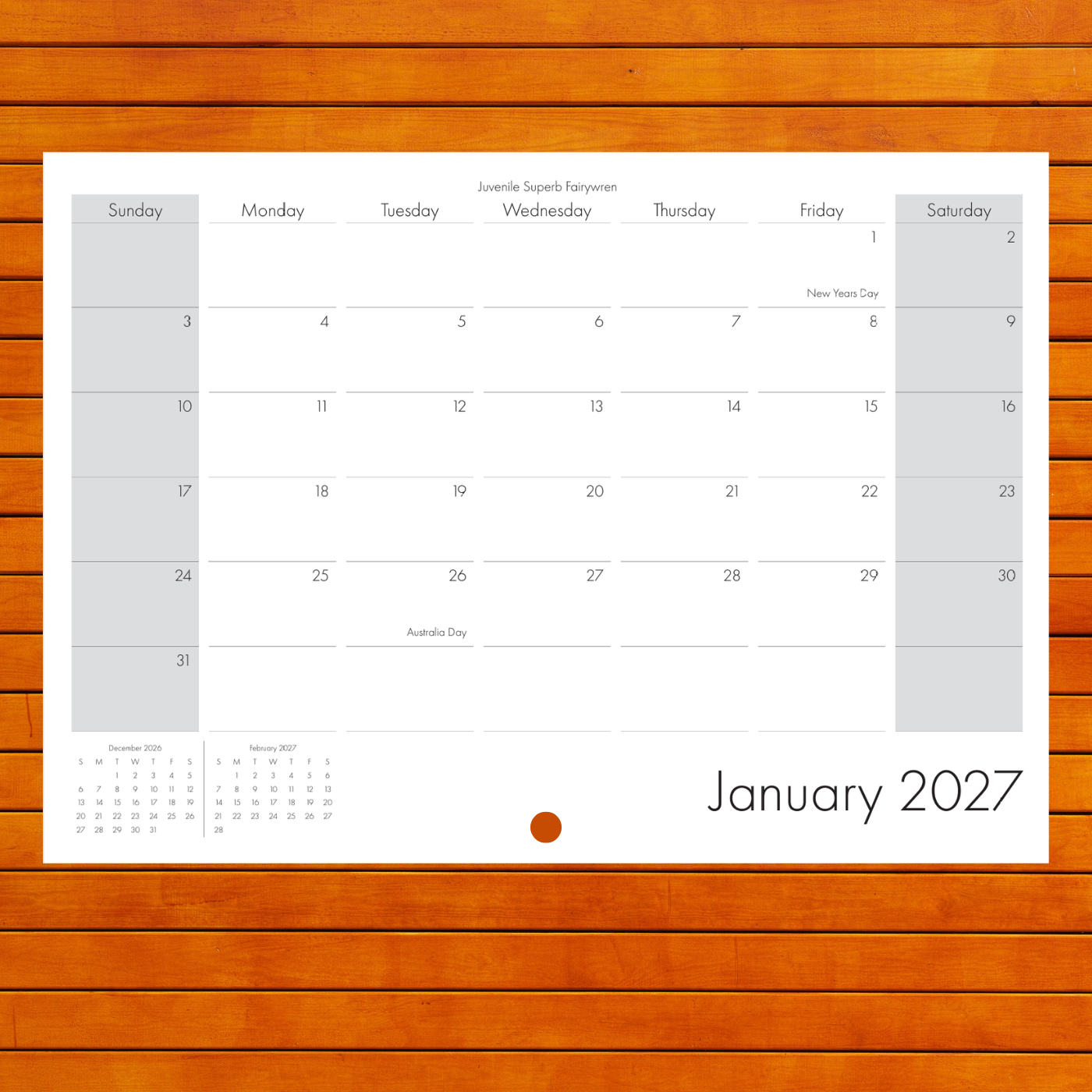 2027 Calendar - A Year of Birds - A4 Photographic Calendar