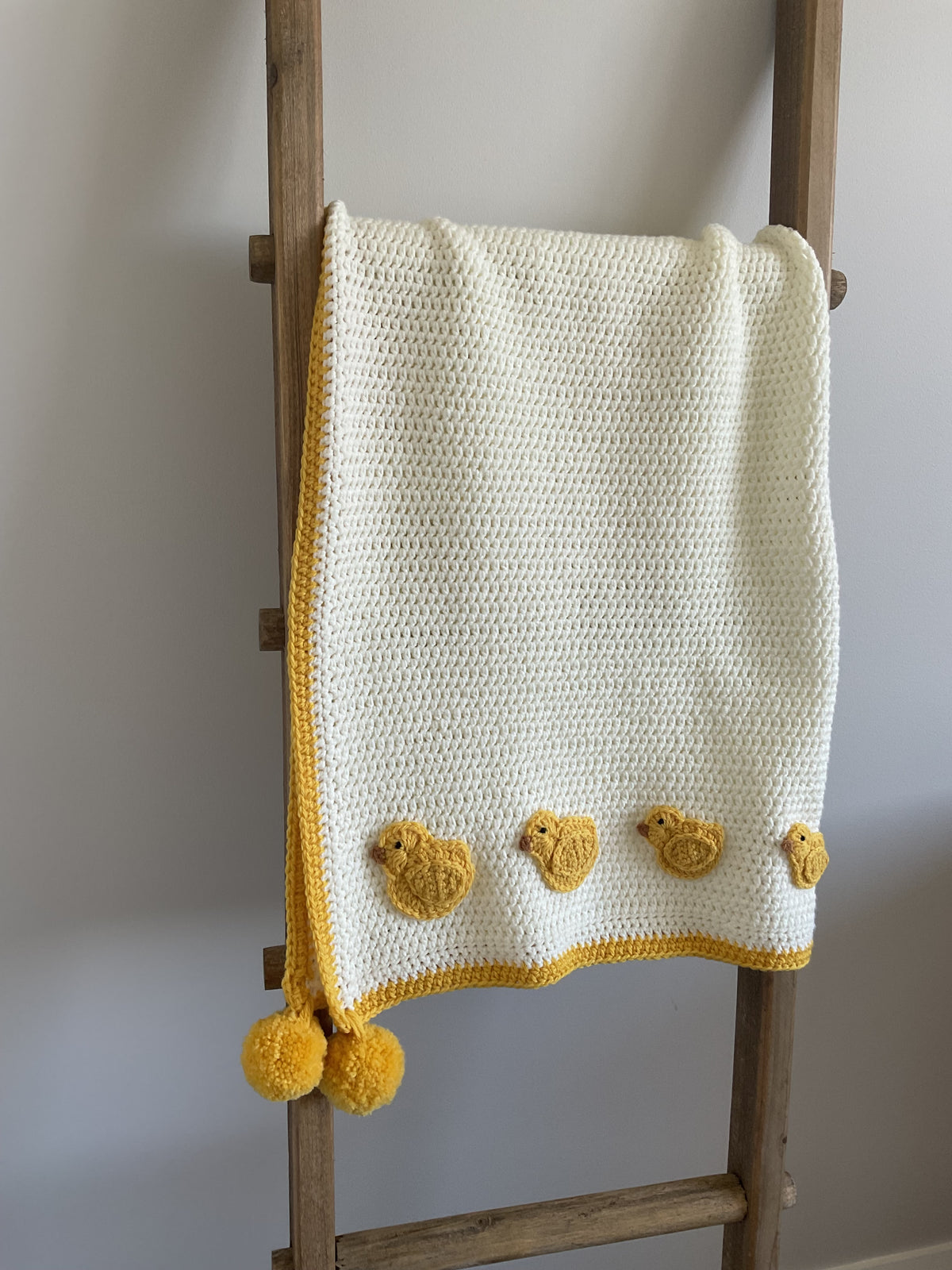 Just 5 Little Ducks Baby Blanket