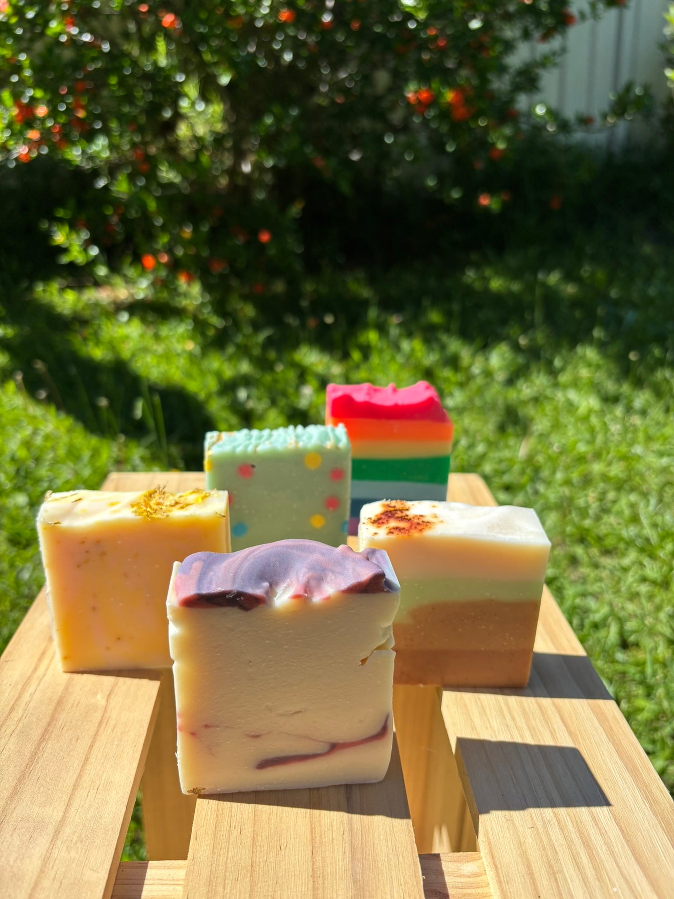 Tallow & Coconut 5 Handmade Soaps Pack