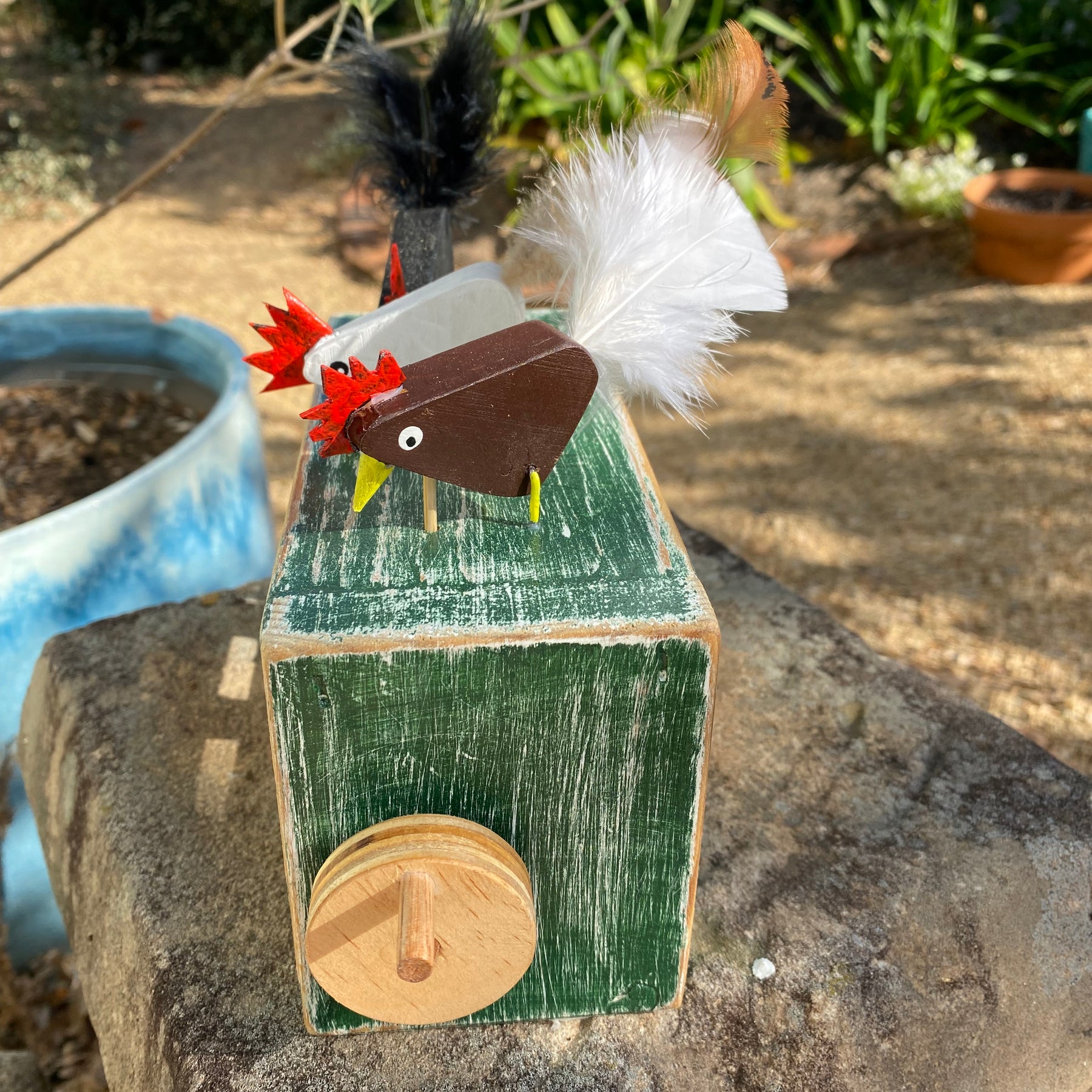 Dancing Chooks