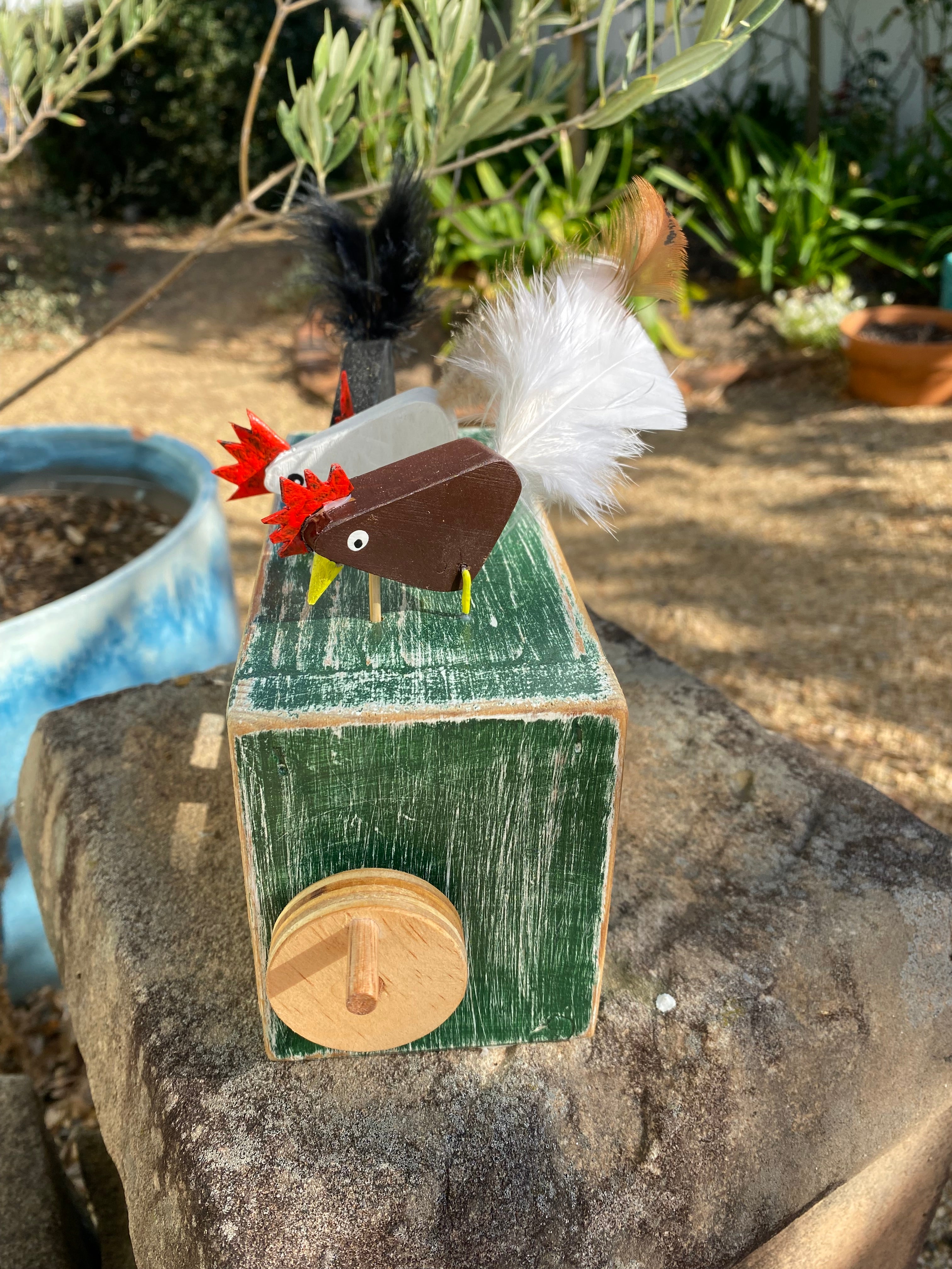 Dancing Chooks