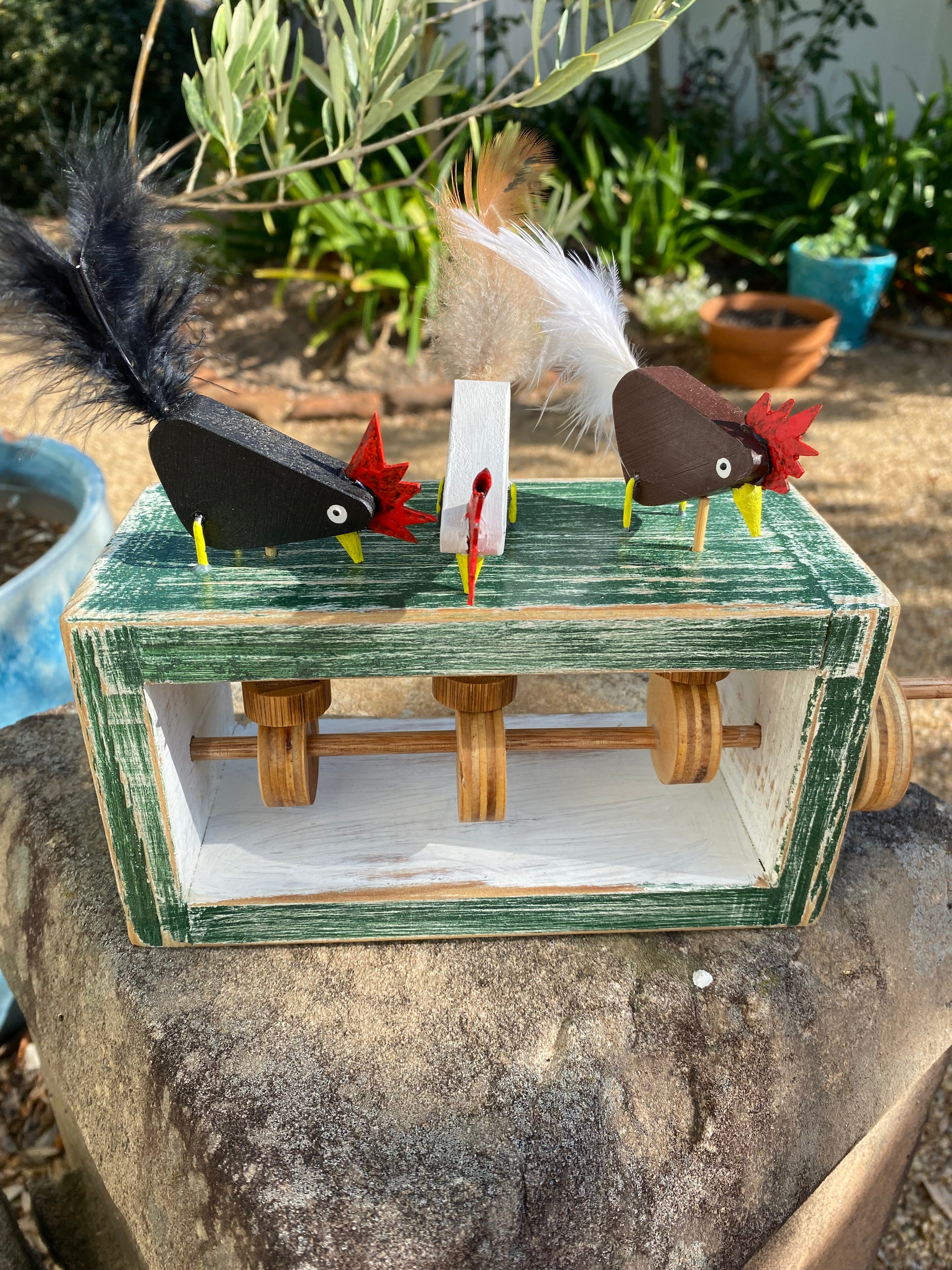 Dancing Chooks