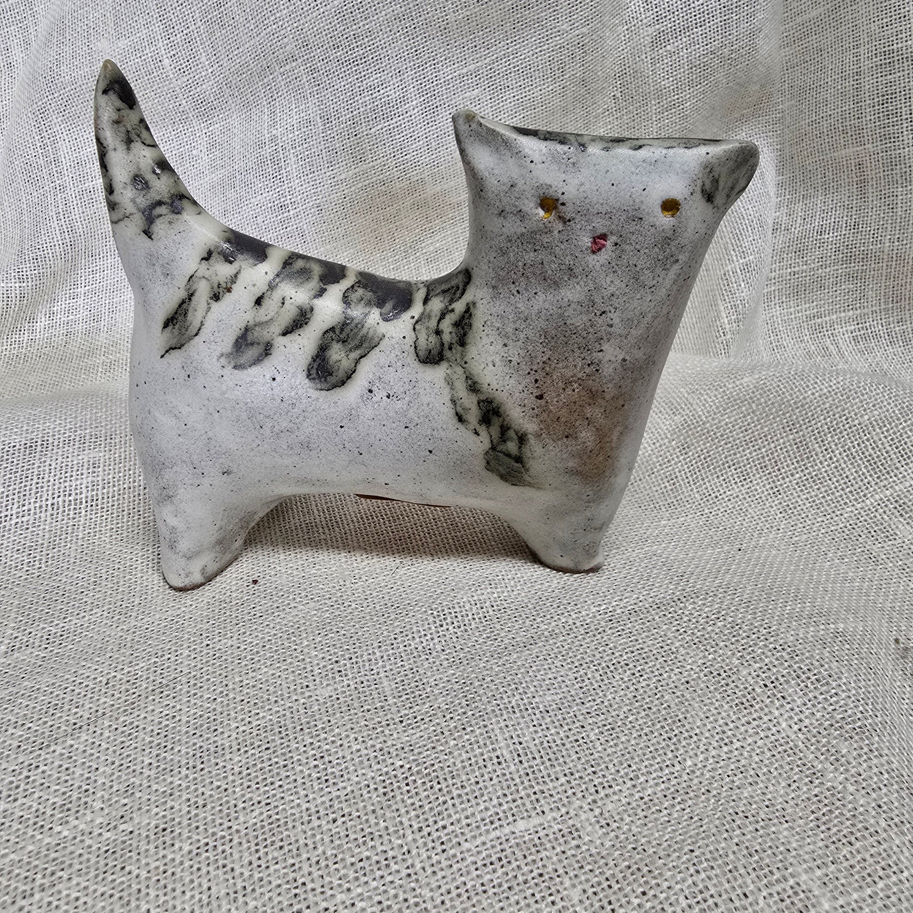 Little tabby cat