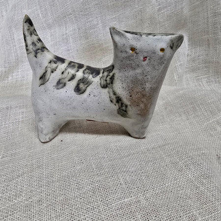Little tabby cat
