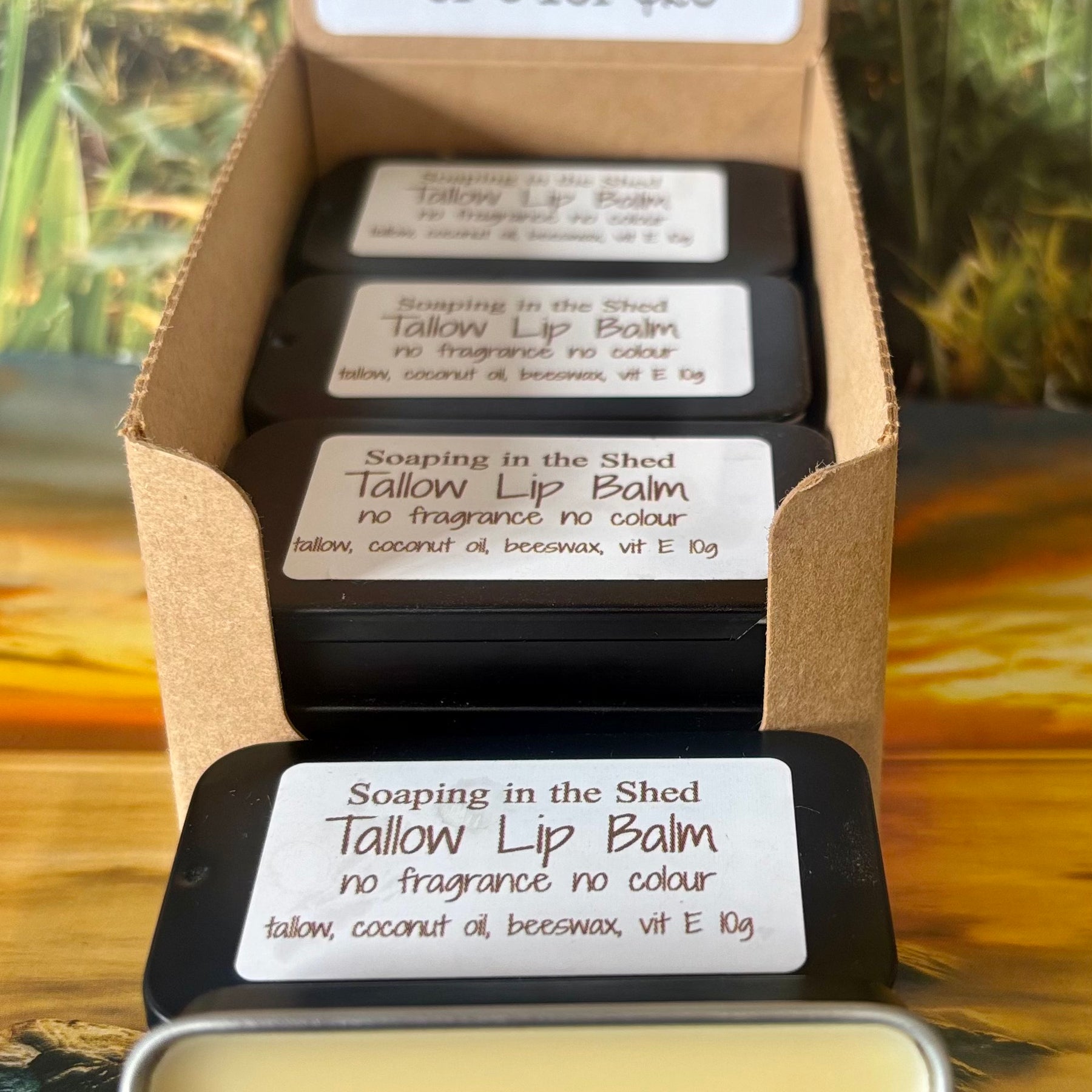 Tallow Lip Balm 6 Pack