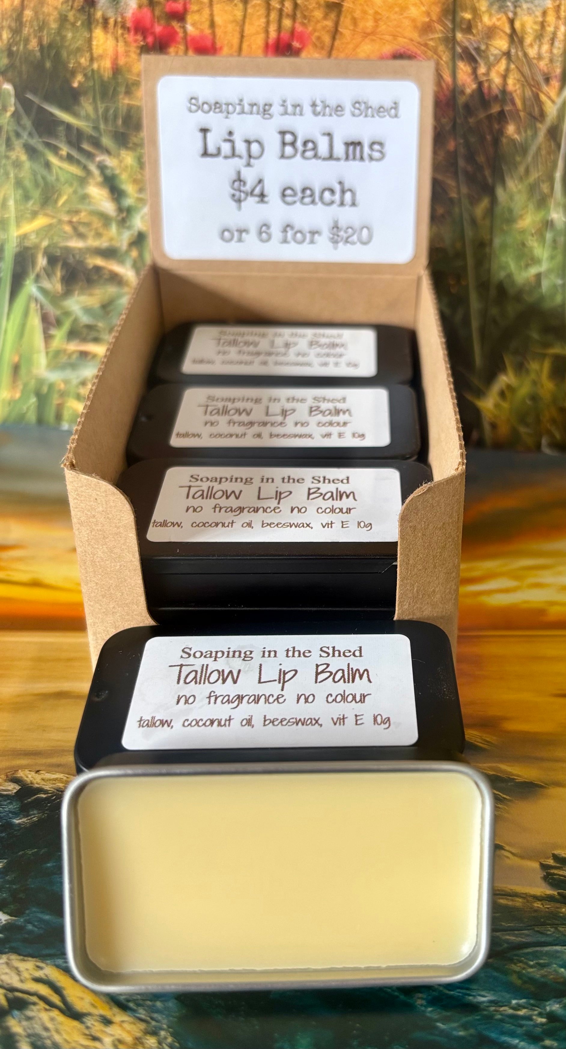 Tallow Lip Balm 6 Pack