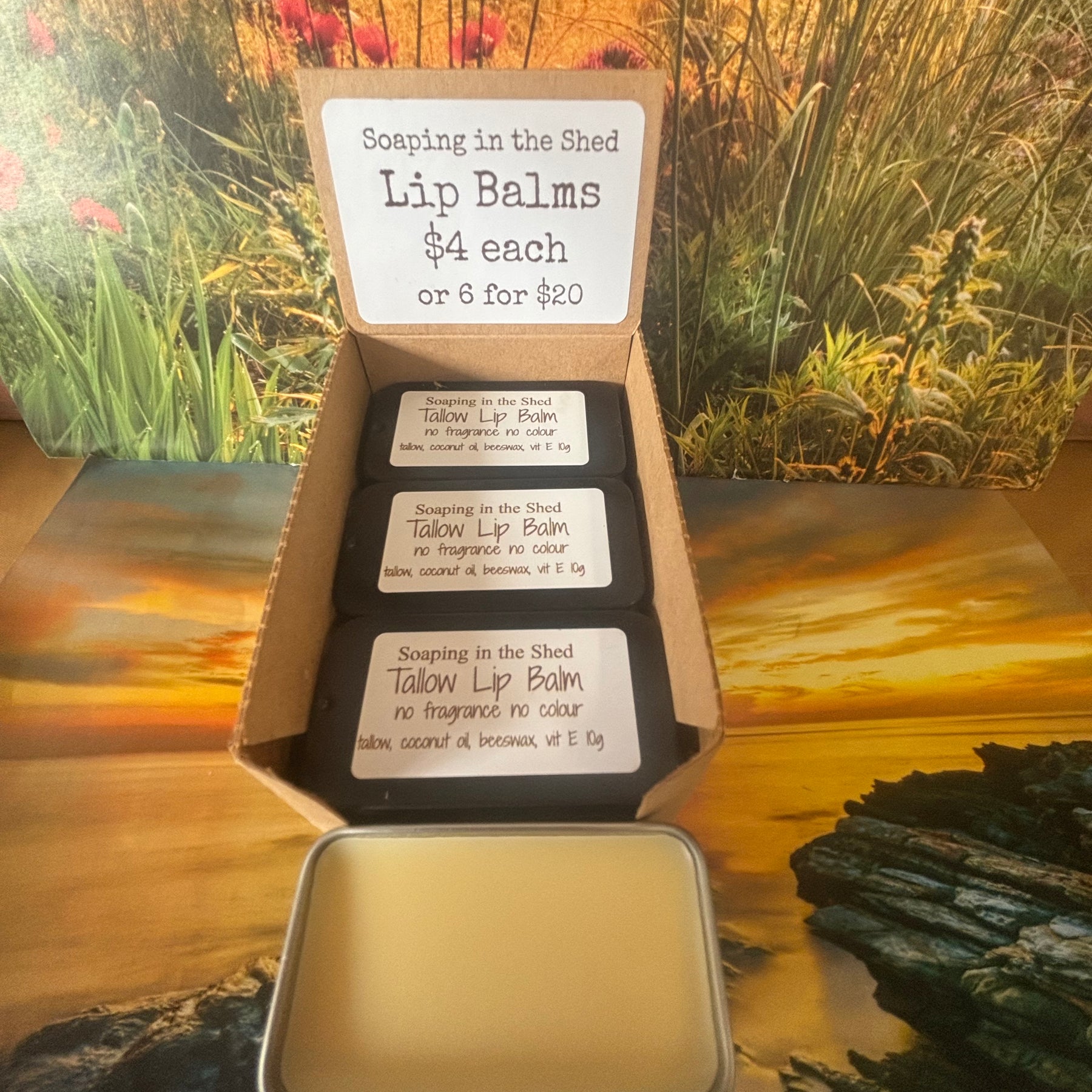 Tallow Lip Balm 6 Pack