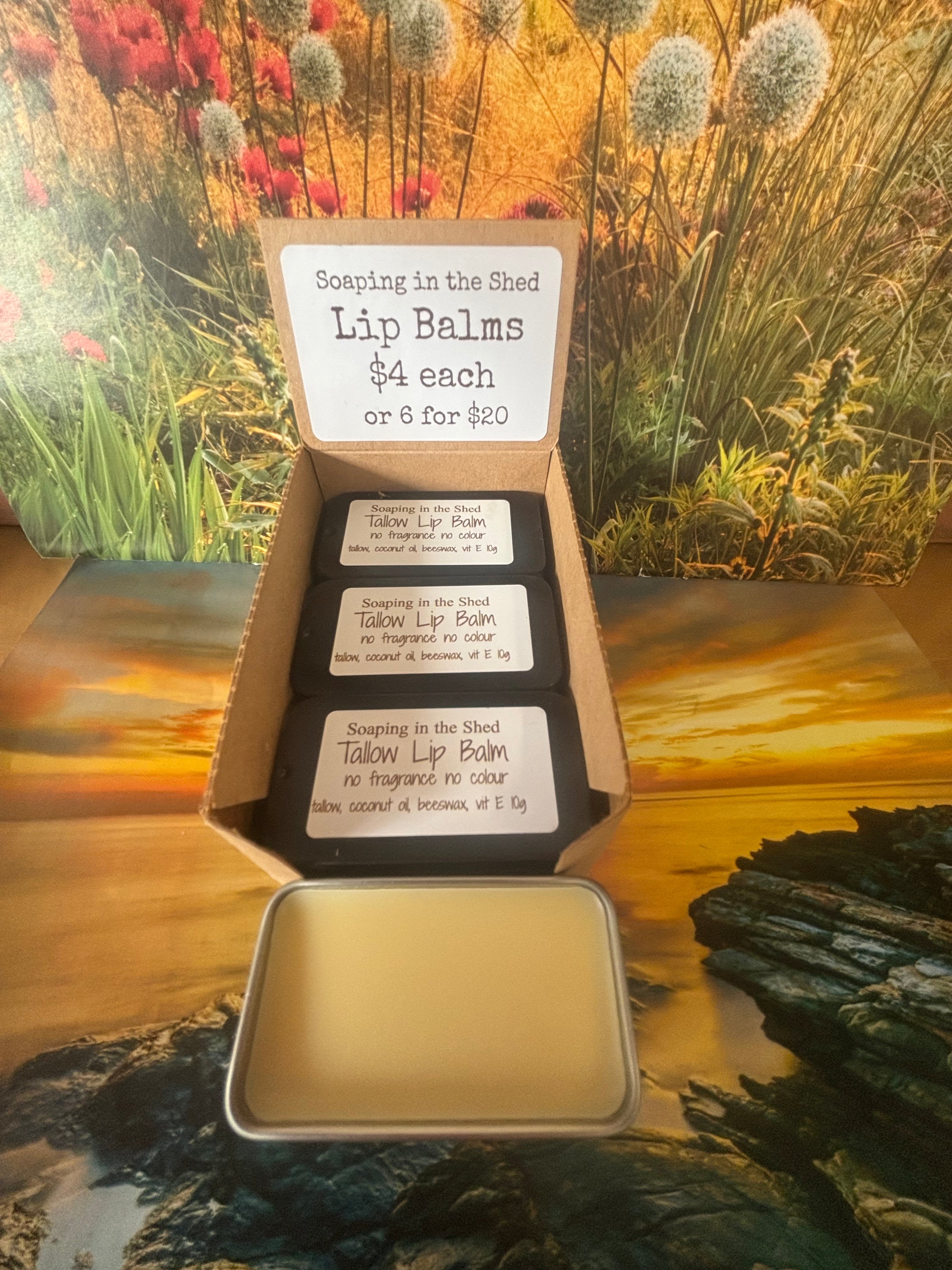 Tallow Lip Balm 6 Pack