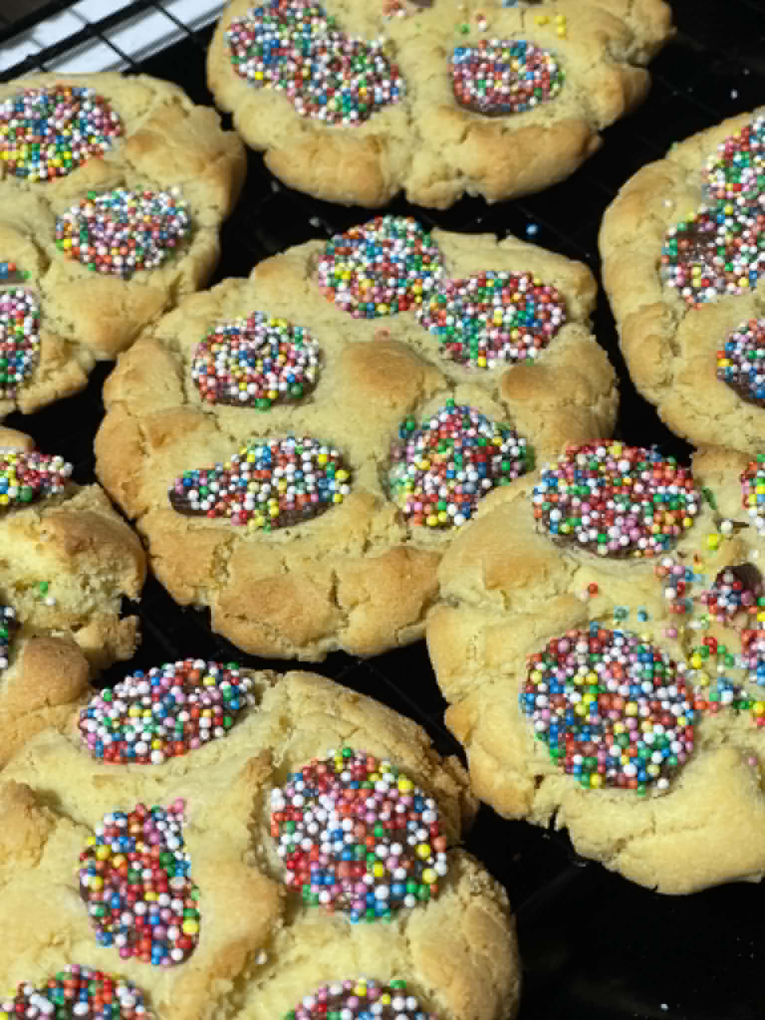 Classic Big Bickies 6 Pack