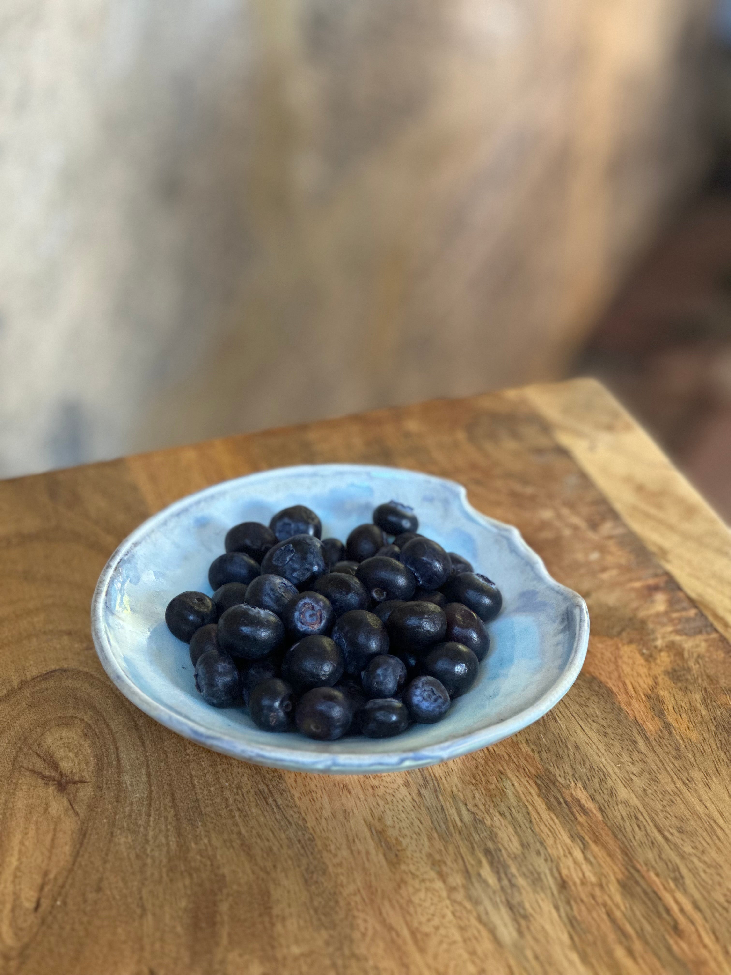 Small Serving Dish | Porcelain | Ceramic Tableware | Southern Ice