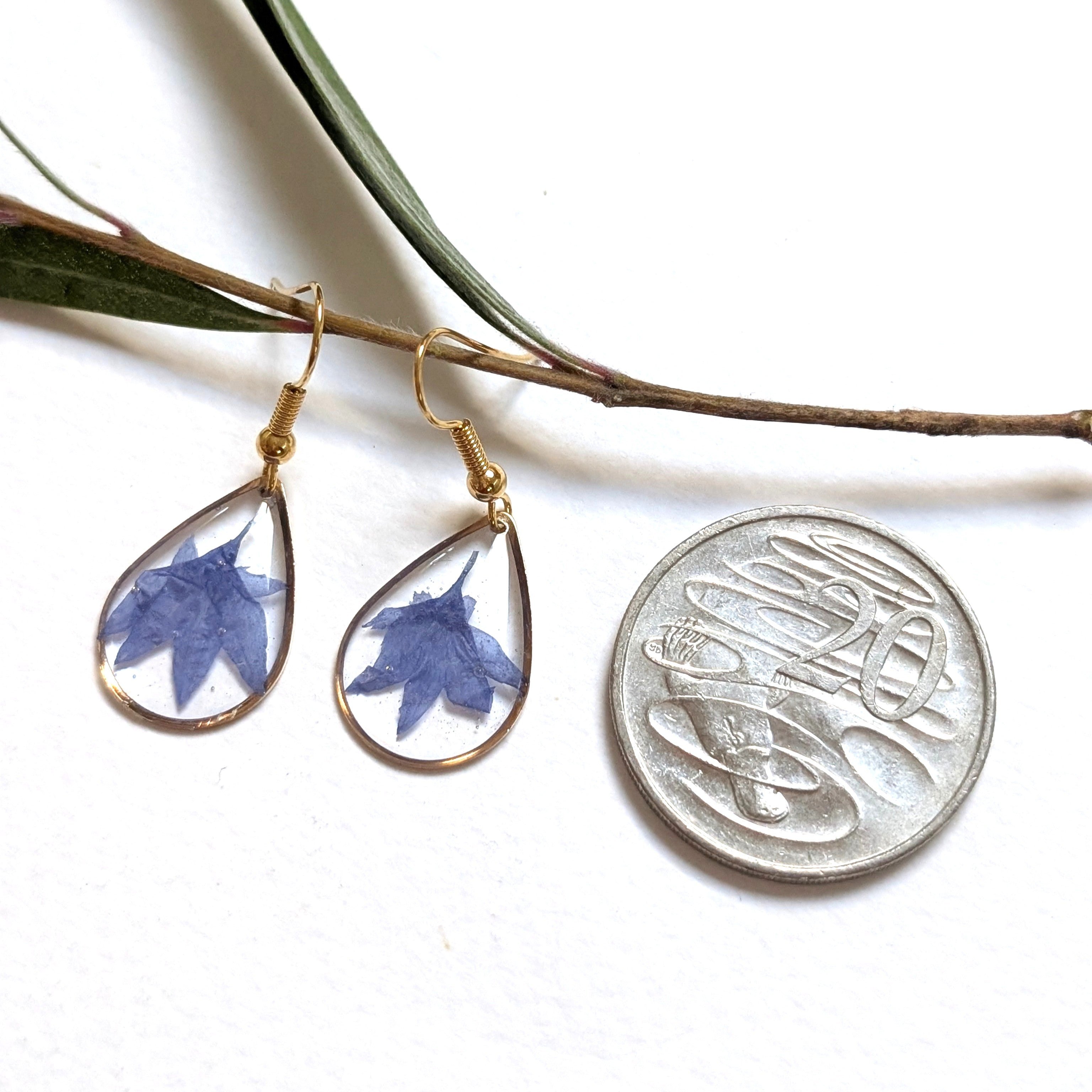 Cornflower Resin Earrings, Elegant, Bright, Natural