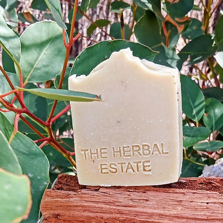 2 Neem Bars | Purifying Herbal Bar | gentle cleansing 120g each.