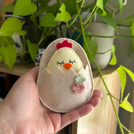 Pocket chick in egg shell bed, pocket friend, gift